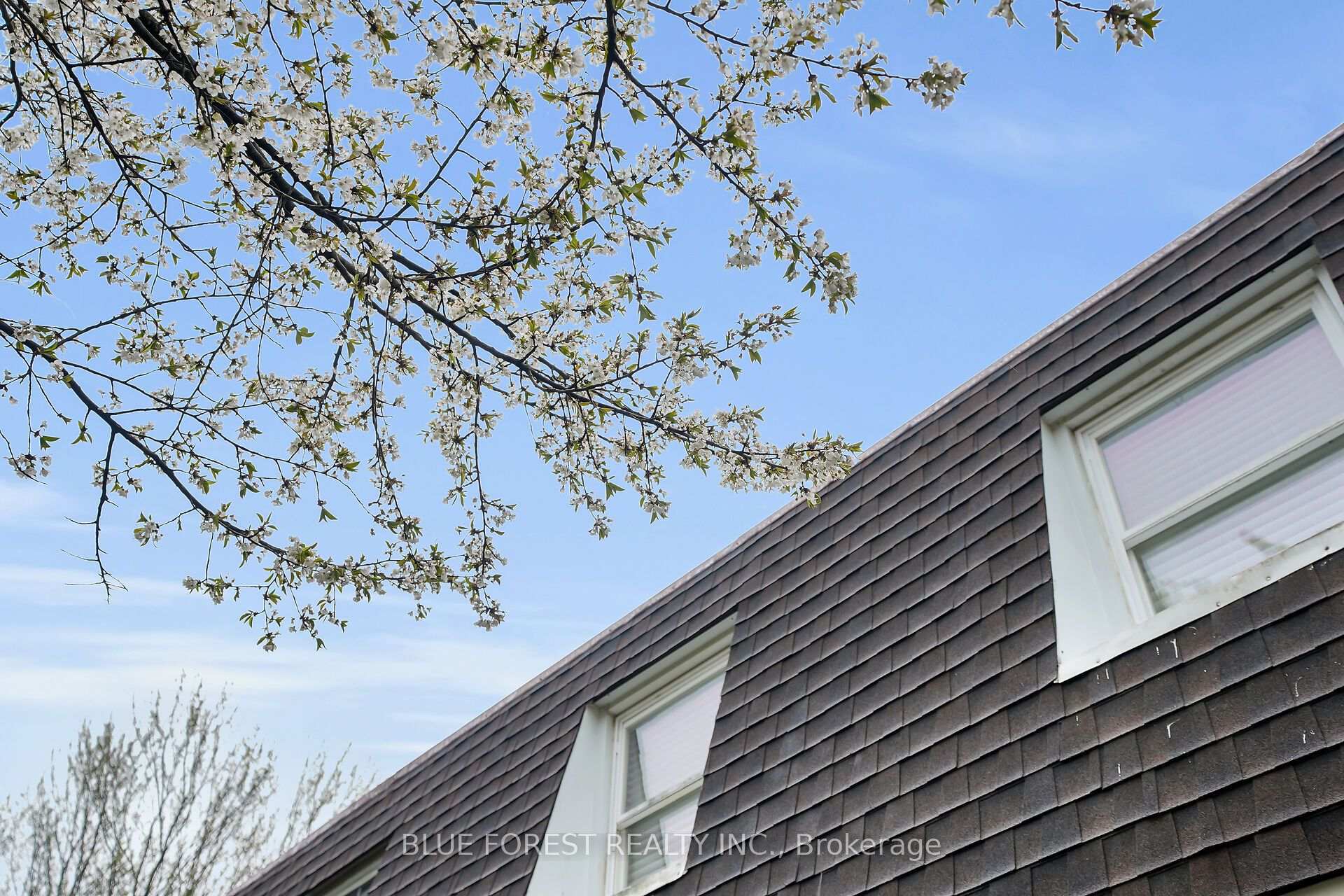 Photo 30 of 9 Ardsley Road, London, North I — HOMEH