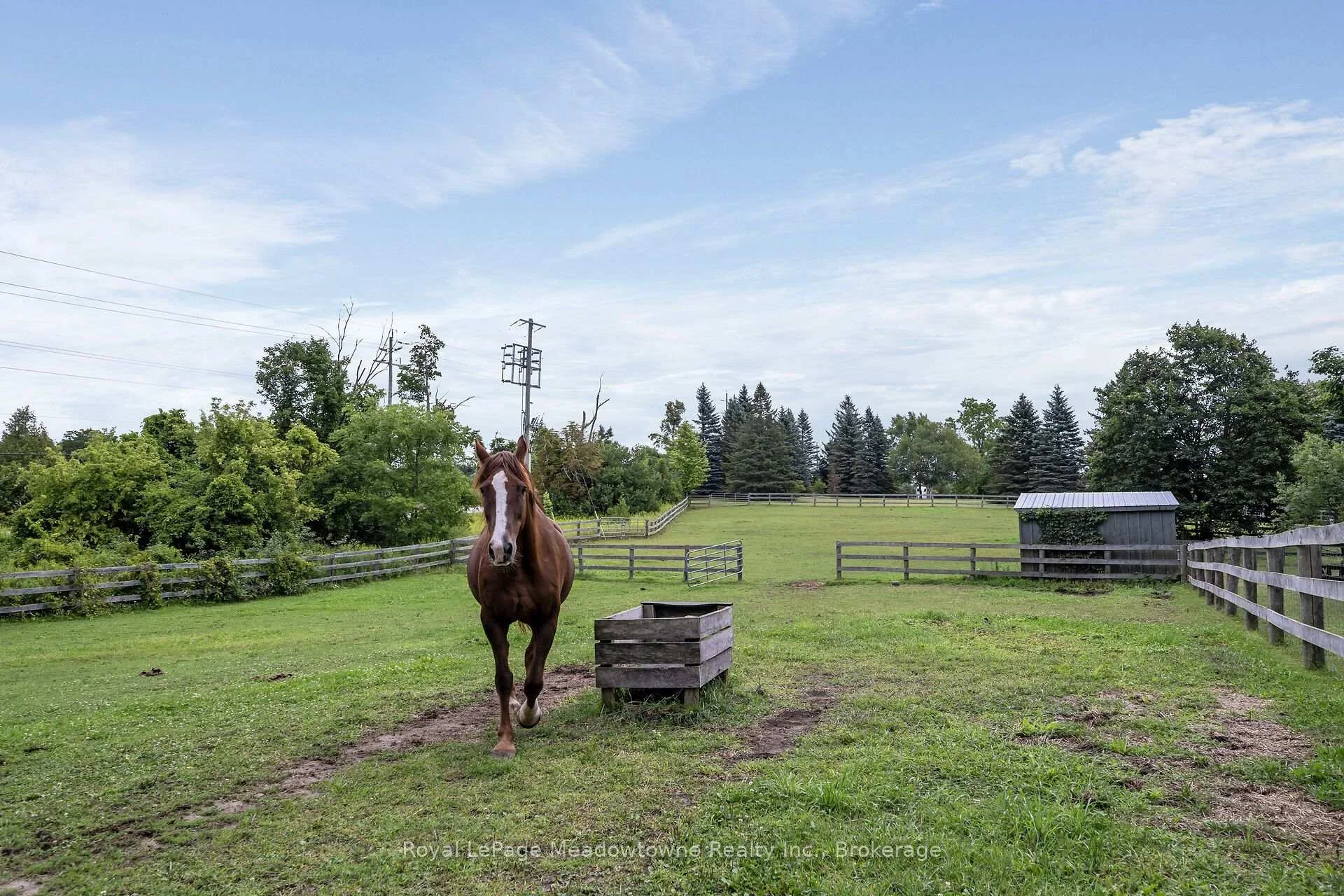 Photo 45 of 13306 Sixth Line, Milton, Rural Nassagaweya — HOMEH