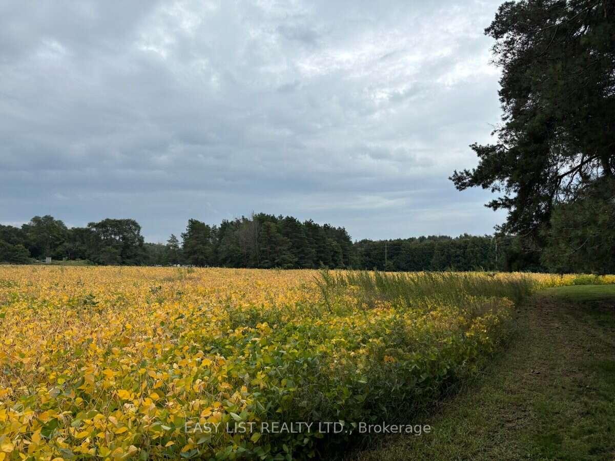 Photo 15 of 21 Bruce Rd 22, Brockton — HOMEH