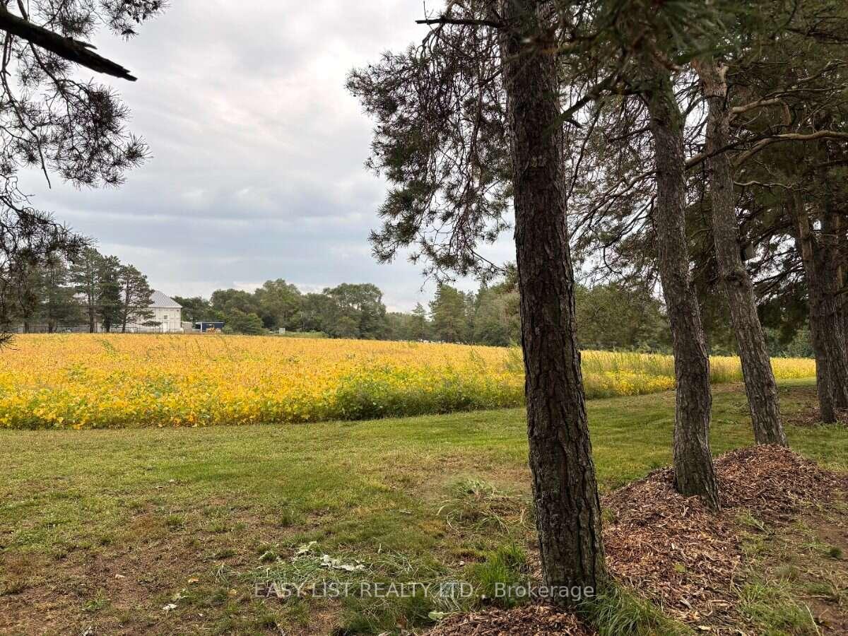 Photo 19 of 21 Bruce Rd 22, Brockton — HOMEH