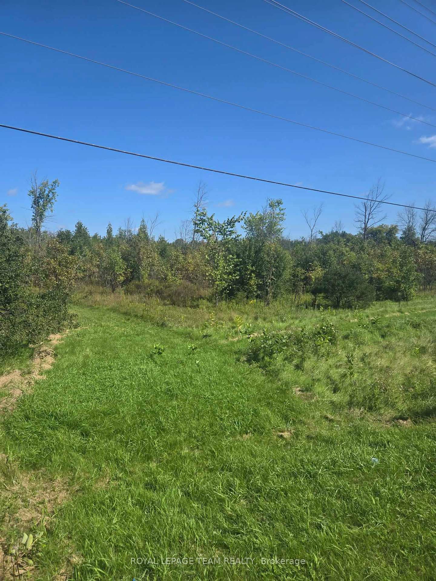 Photo of 00 County 43 Road