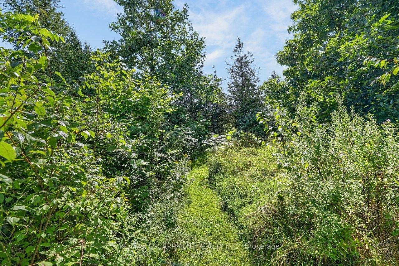 Photo 21 of 116 Russ Road, Grimsby, Grimsby Escarpment — HOMEH