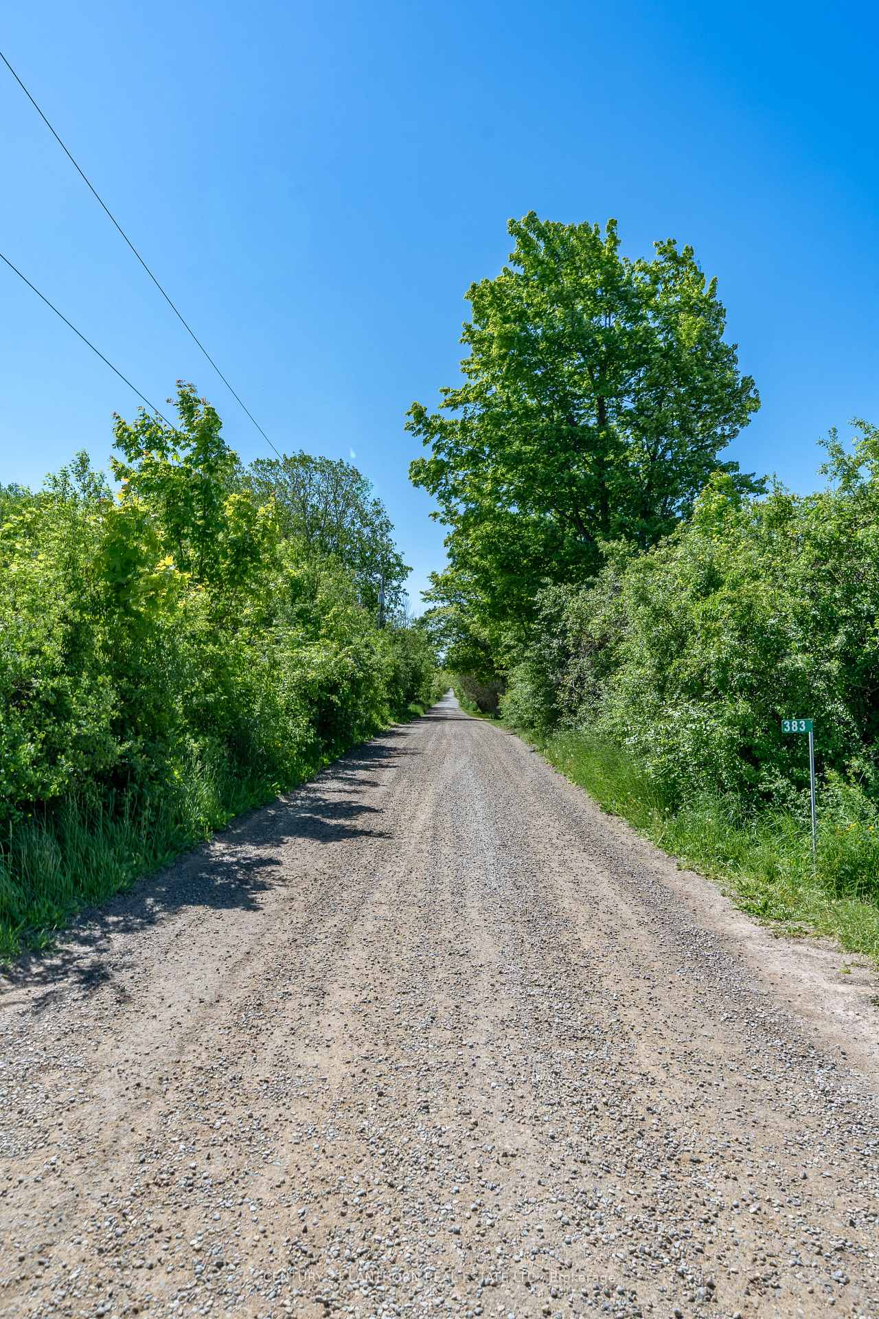 Photo 4 of 383 Chase Road, Prince Edward County, Hillier Ward — HOMEH