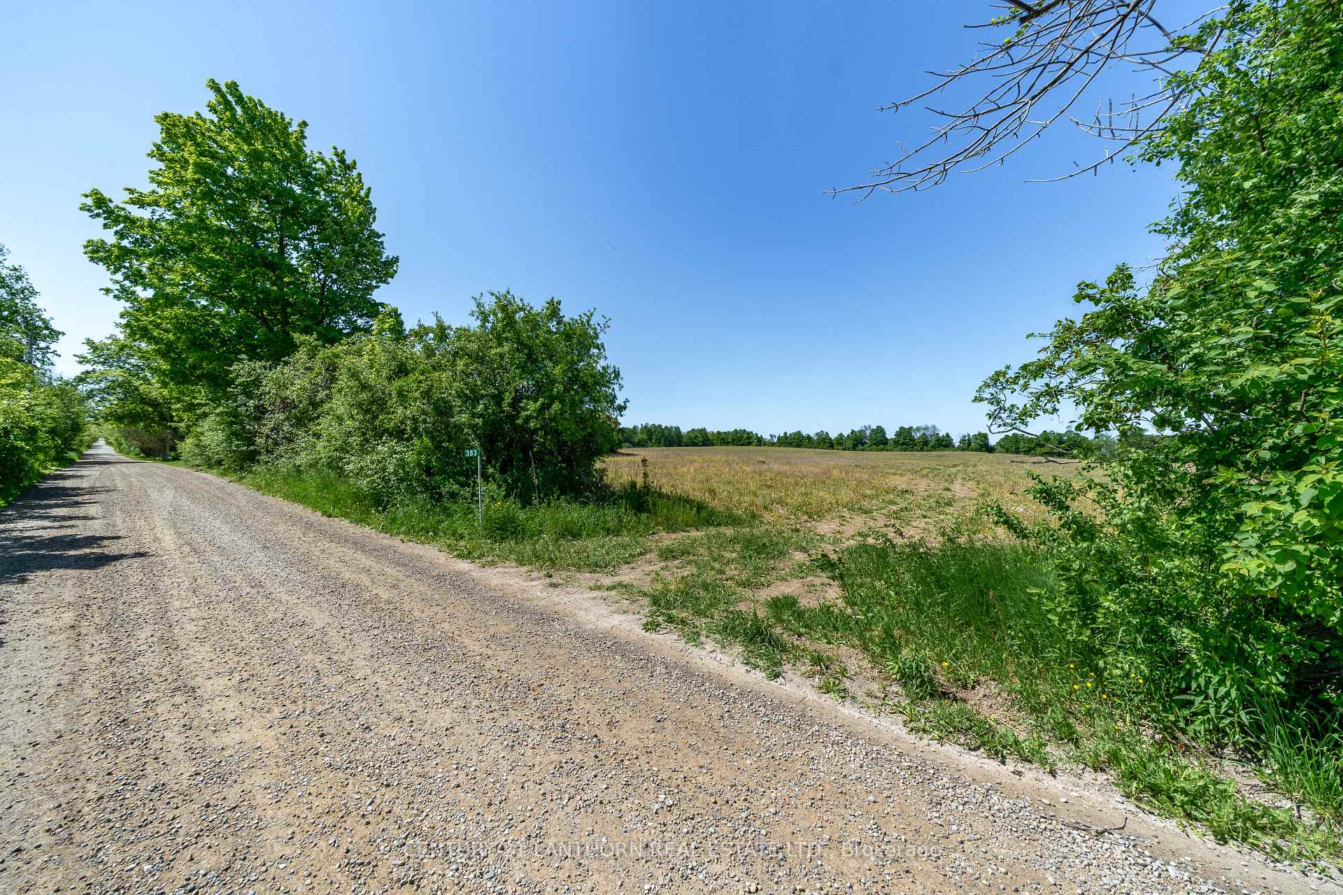 Photo 8 of 383 Chase Road, Prince Edward County, Hillier Ward — HOMEH