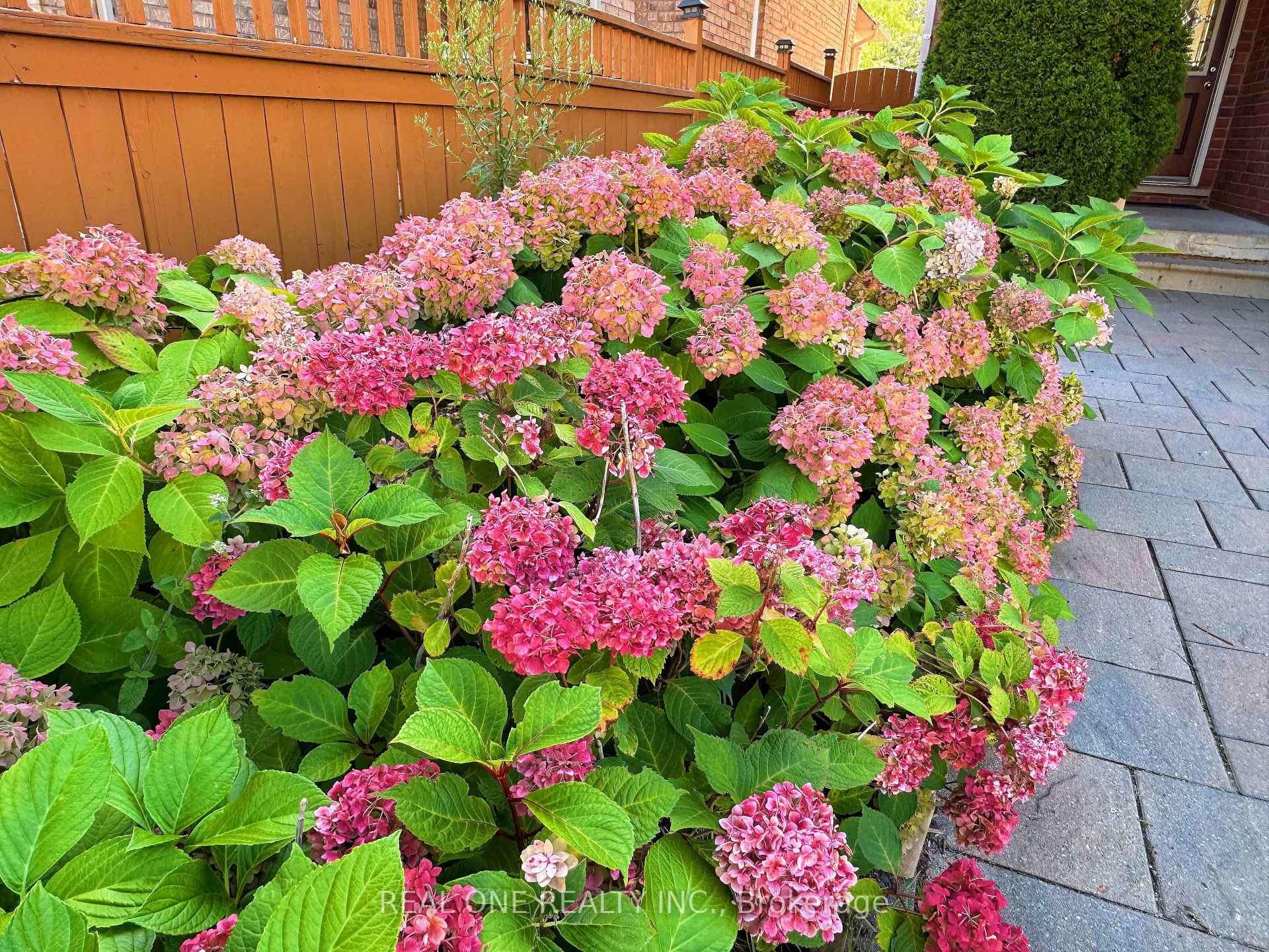 Photo 31 of 29 Rock Garden Street, Markham, Cornell — HOMEH