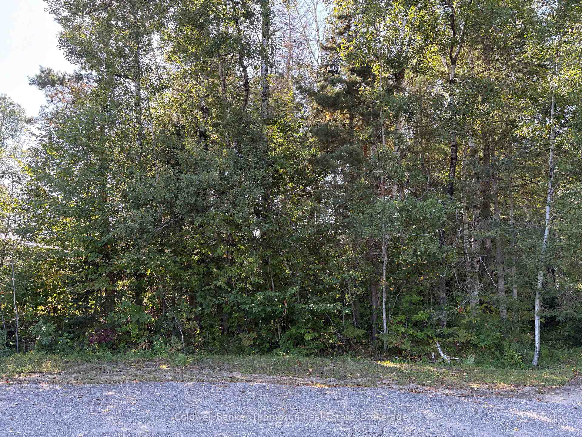 Photo of 42 Tebby Boulevard