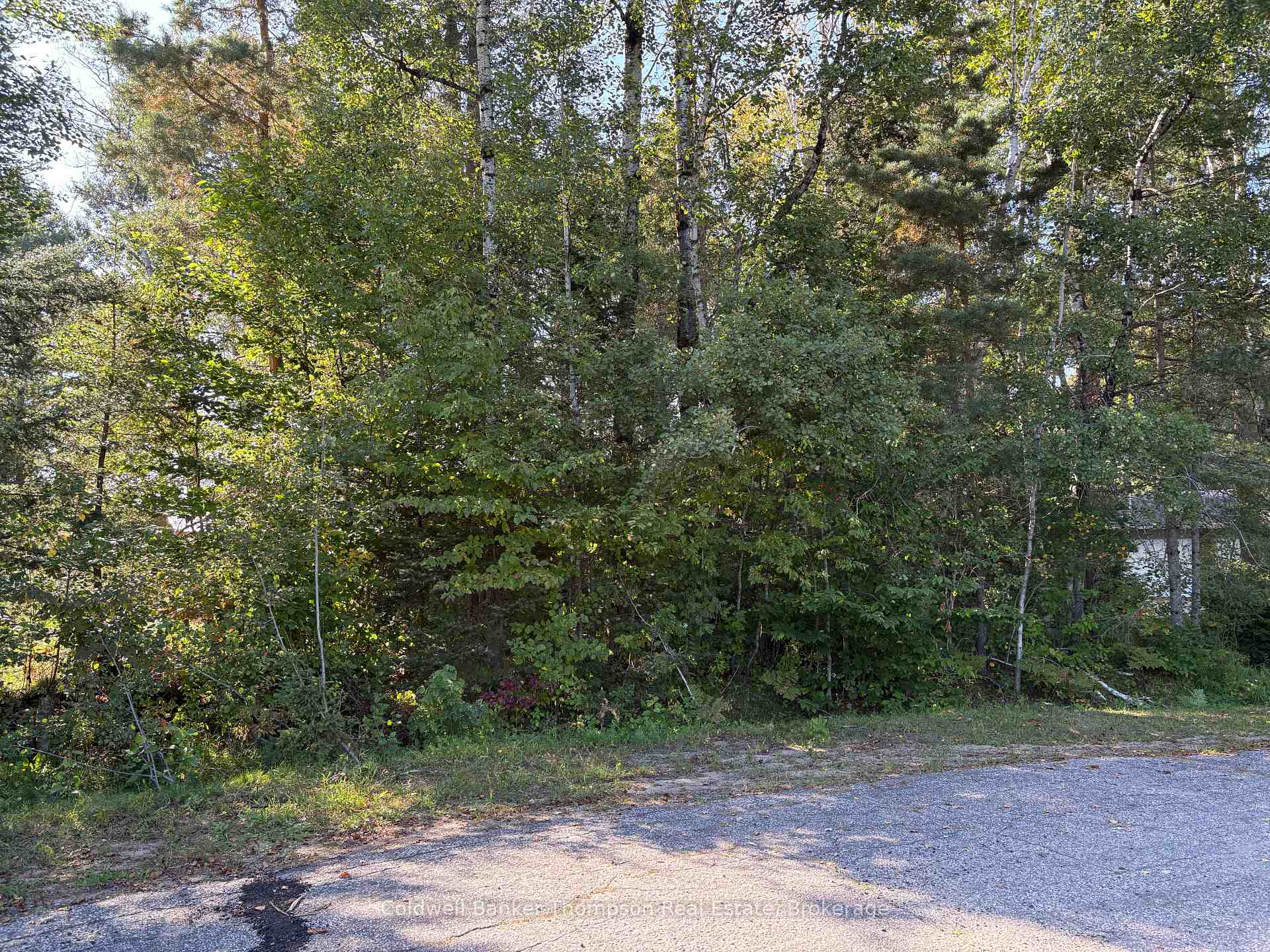 Photo 2 of 42 Tebby Boulevard, South River — HOMEH