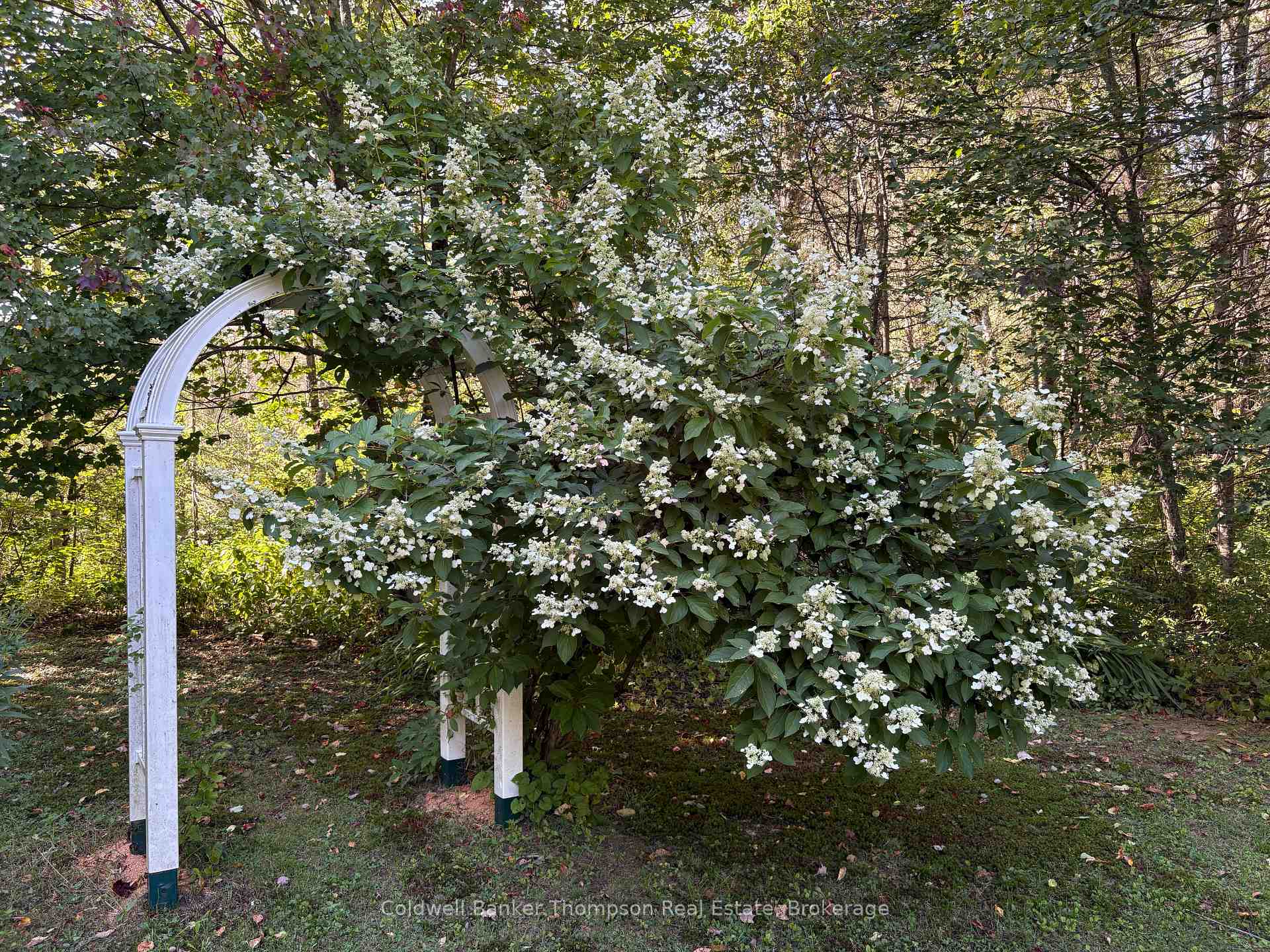 Photo 23 of 40 Tebby Boulevard, South River — HOMEH