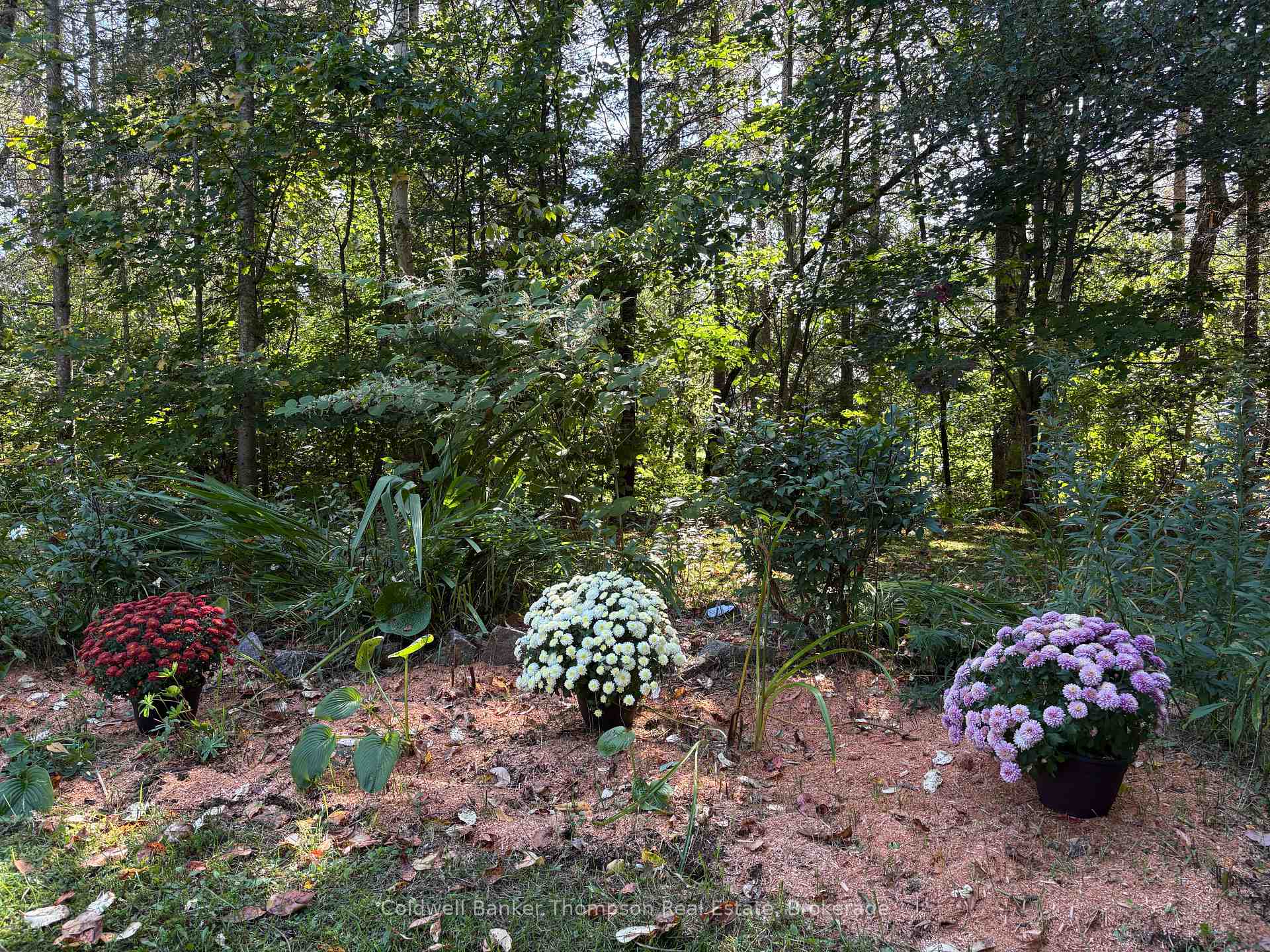 Photo 24 of 40 Tebby Boulevard, South River — HOMEH