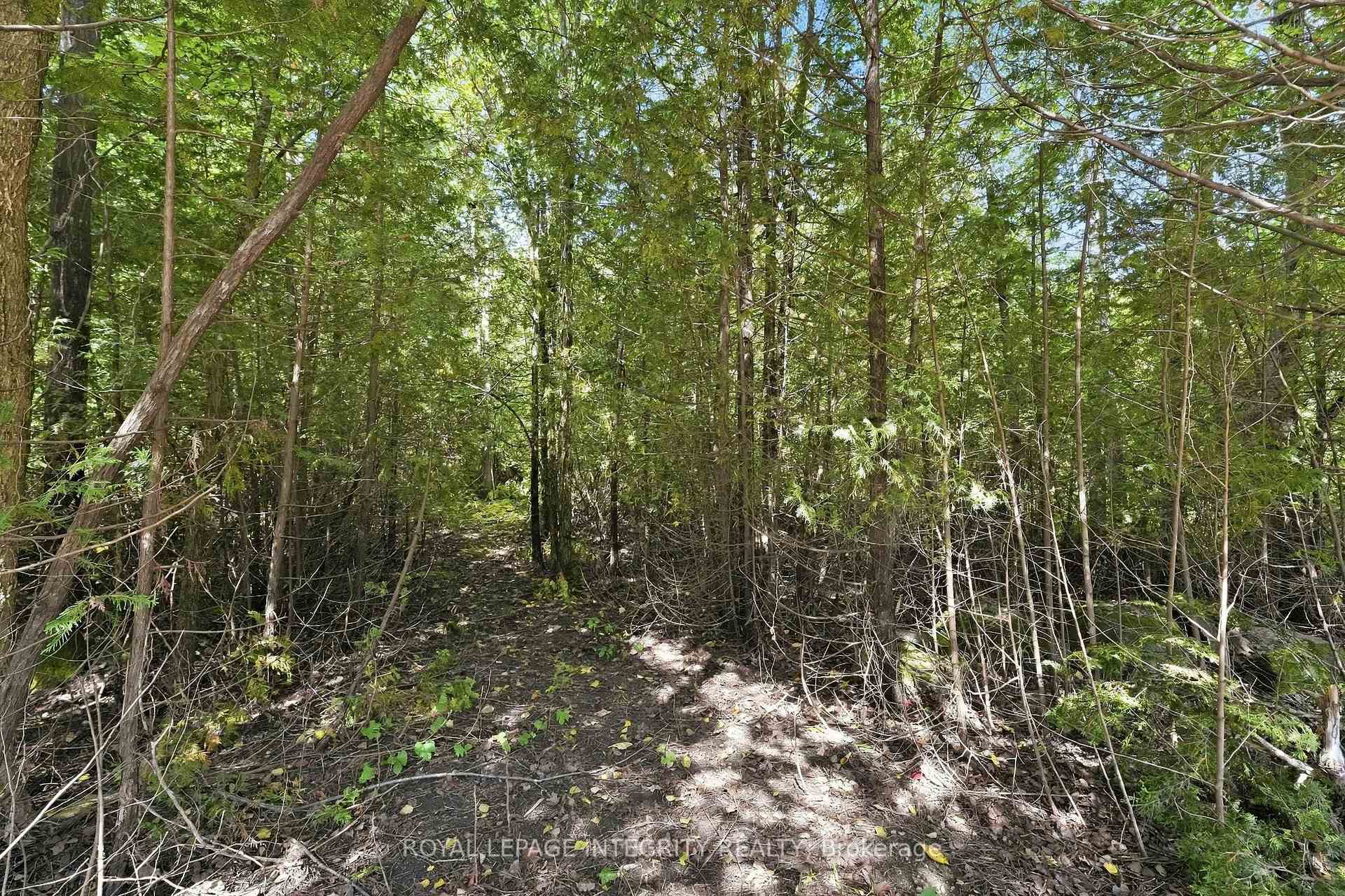 Photo 8 of Pt Lot 2 Con 4 Mackey Road, Ottawa, Rideau Twp S of Reg Rd 6 W of Mccordick Rd. — HOMEH