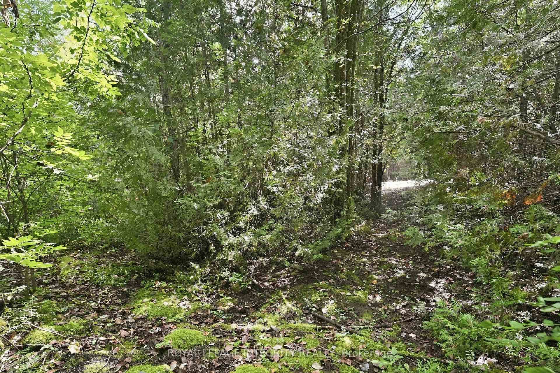 Photo 9 of Pt Lot 2 Con 4 Mackey Road, Ottawa, Rideau Twp S of Reg Rd 6 W of Mccordick Rd. — HOMEH