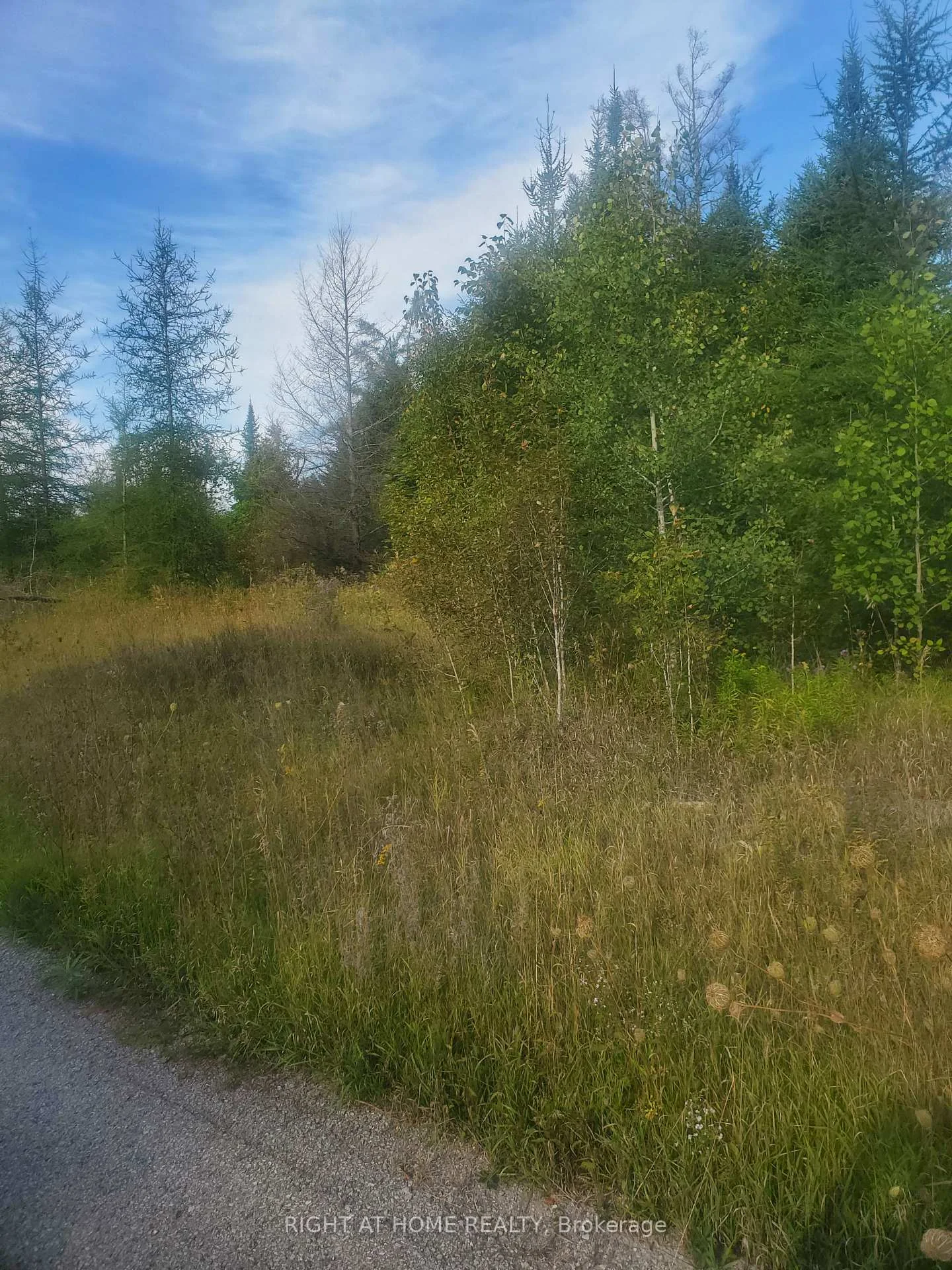 Photo 10 of 19013 62 Highway, Tudor and Cashel, Tudor Ward — HOMEH