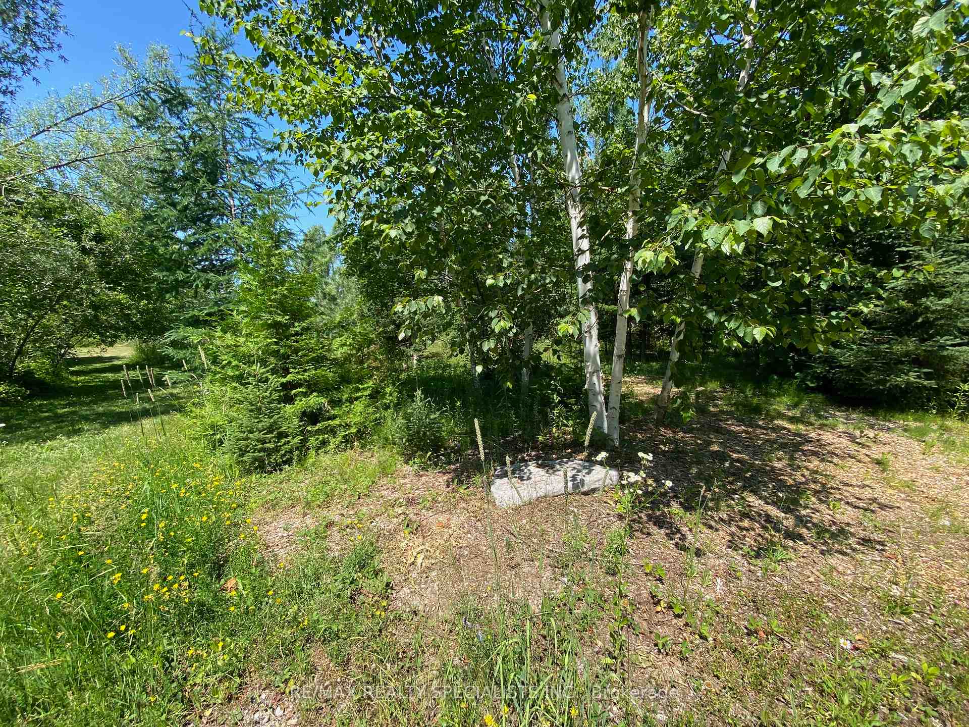 Photo 4 of LT12 & 13 Otter Road, Kawartha Lakes, Bexley — HOMEH