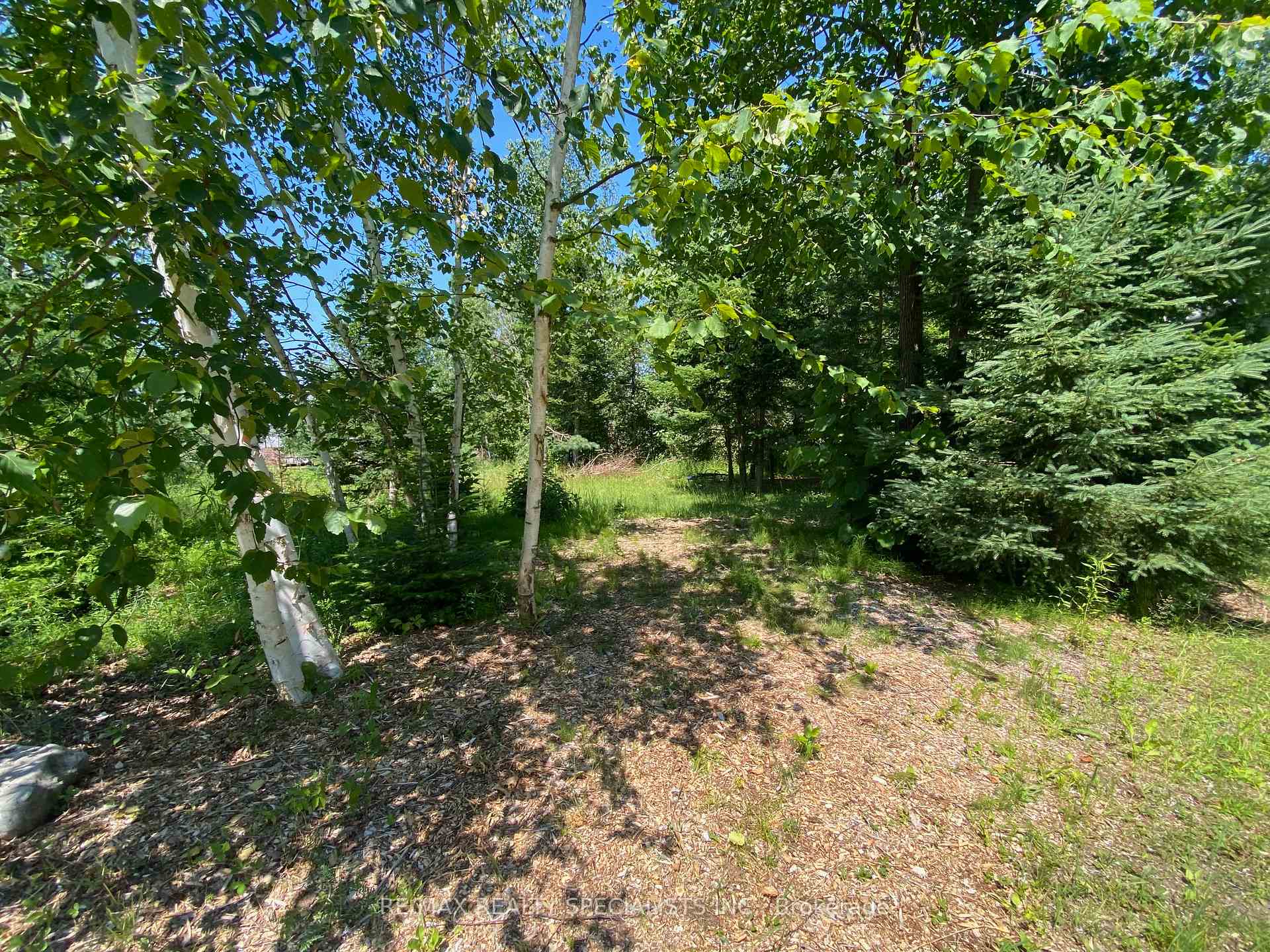 Photo 11 of LT12 & 13 Otter Road, Kawartha Lakes, Bexley — HOMEH