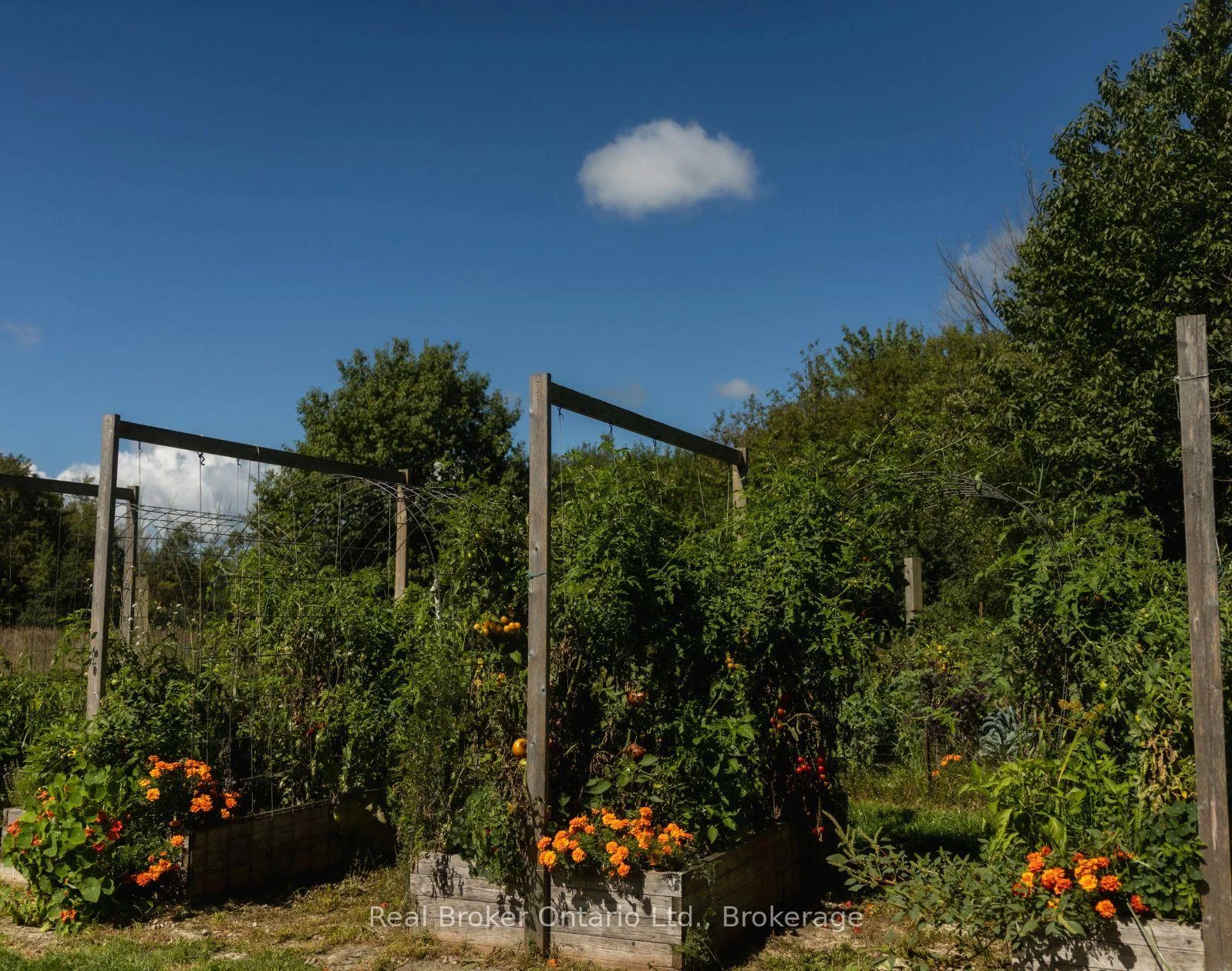 Photo 58 of 46447 Old Mail Road, Meaford — HOMEH