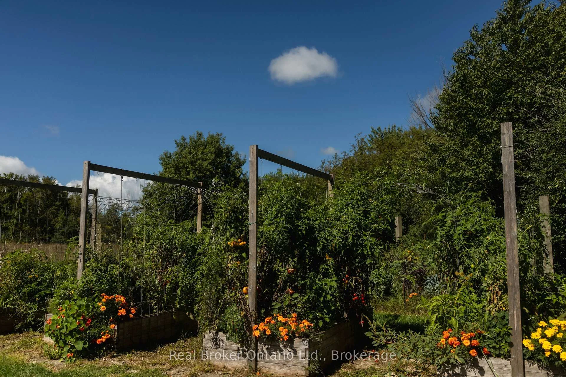 Photo 61 of 46447 Old Mail Road, Meaford — HOMEH