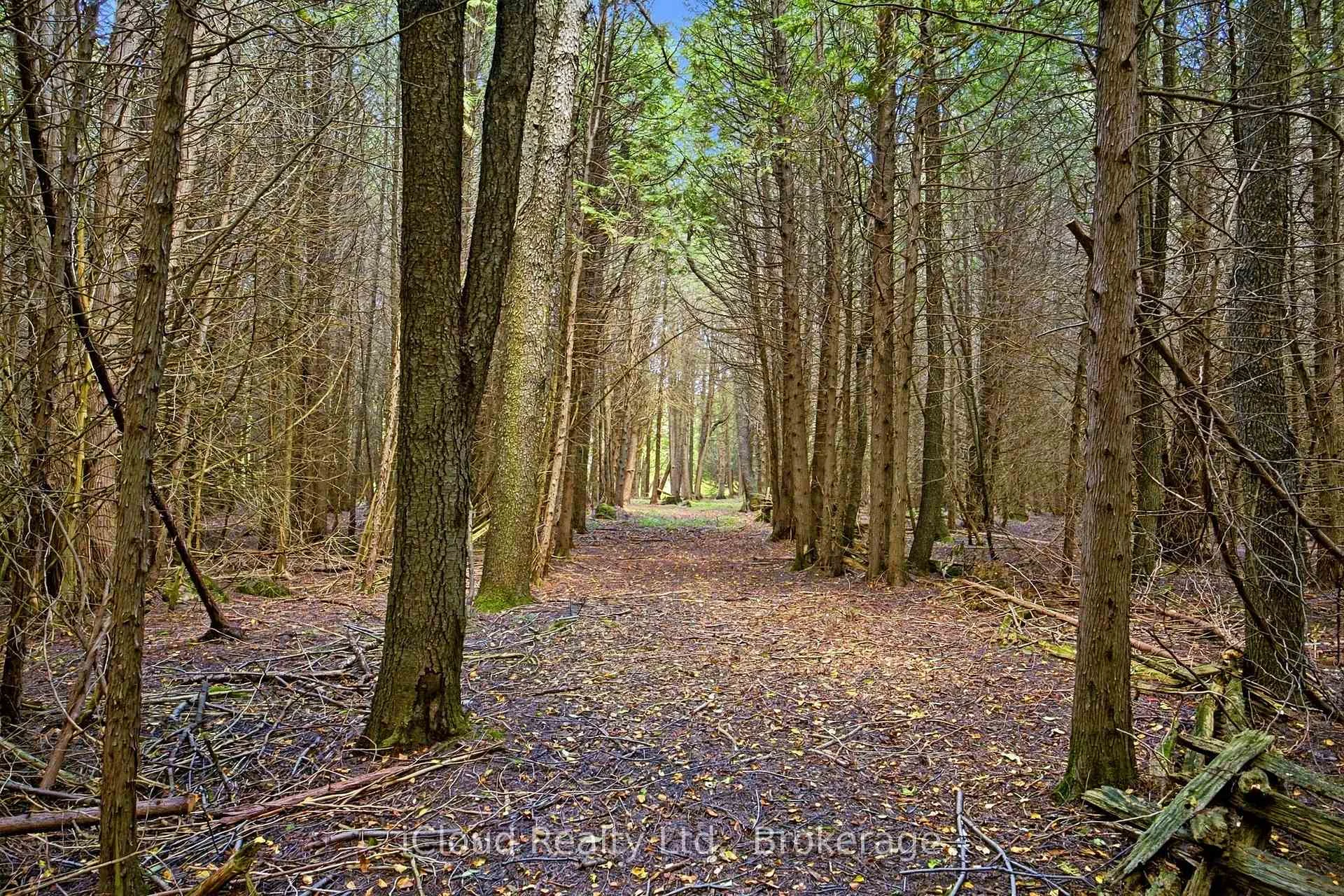 Photo 84 of 6168 1 St Line, Erin, Rural Erin — HOMEH