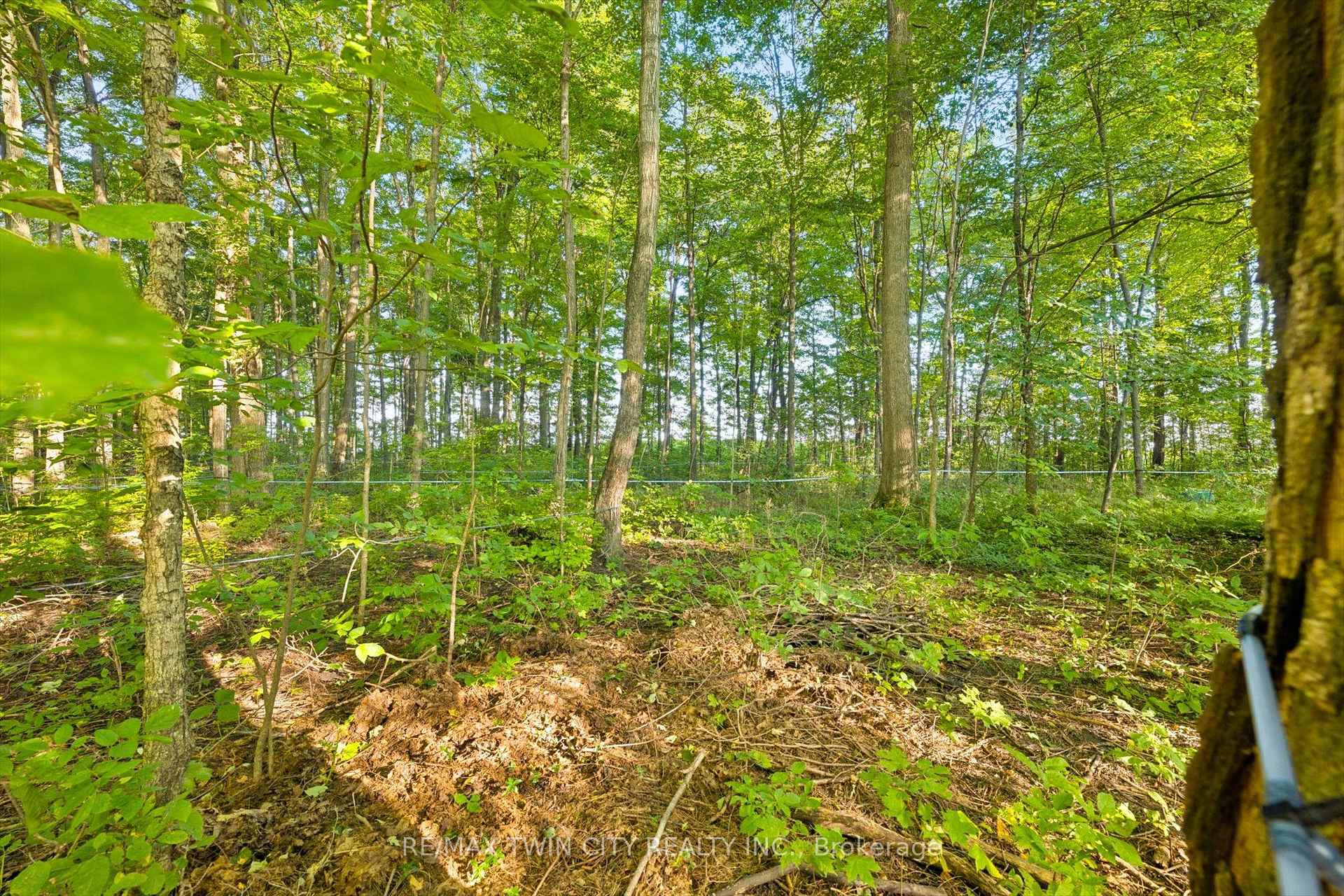 Photo 19 of 2018 Greenwood Hill Road, Wellesley — HOMEH