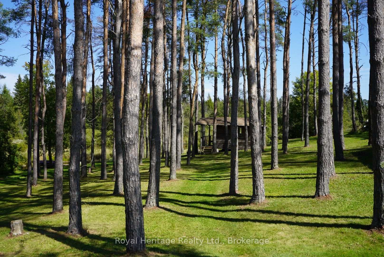 Photo 44 of 215 Fifth Line Dummer South Road, Douro-Dummer — HOMEH