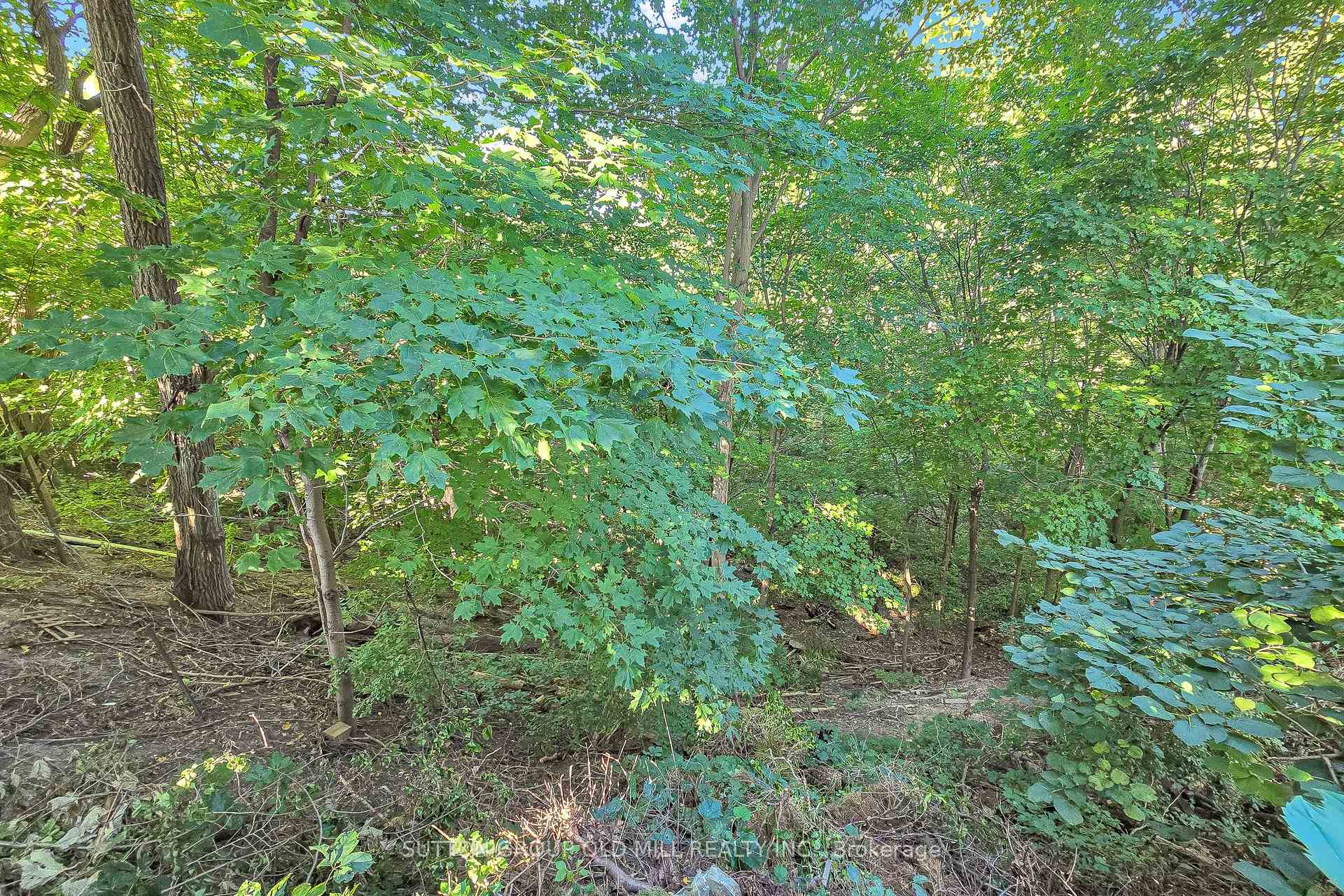 Photo 41 of 4 Ravenscrest Drive, Etobicoke, Princess-Rosethorn — HOMEH