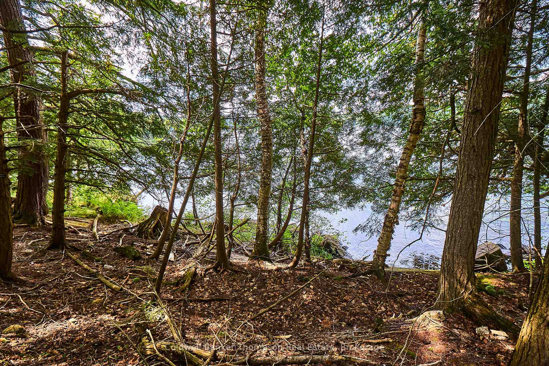 Photo 19 of So-Ho-Mish Road, Armour — HOMEH
