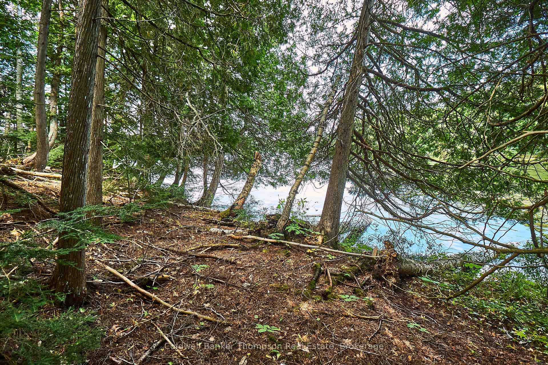 Photo 24 of So-Ho-Mish Road, Armour — HOMEH