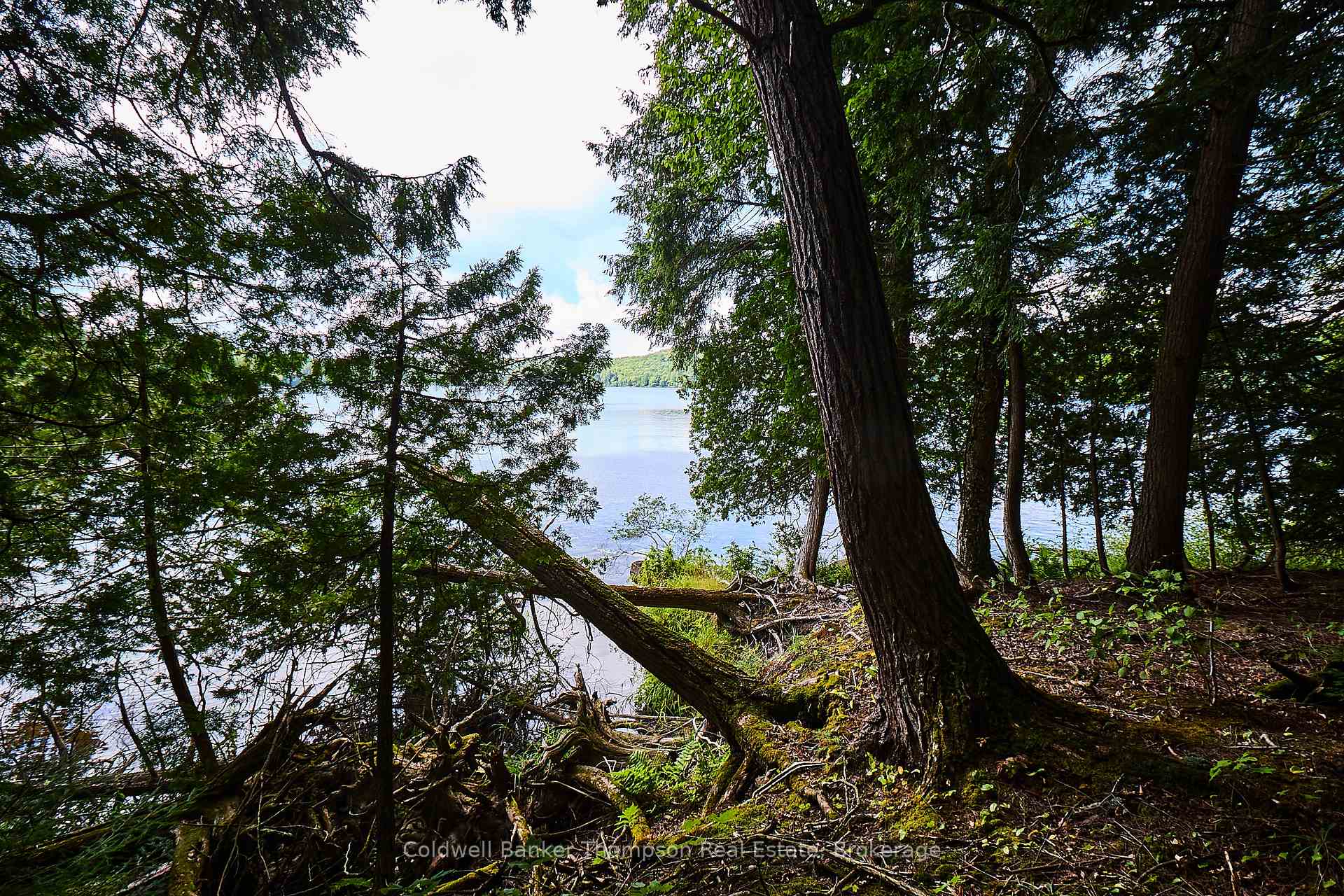Photo 27 of So-Ho-Mish Road, Armour — HOMEH