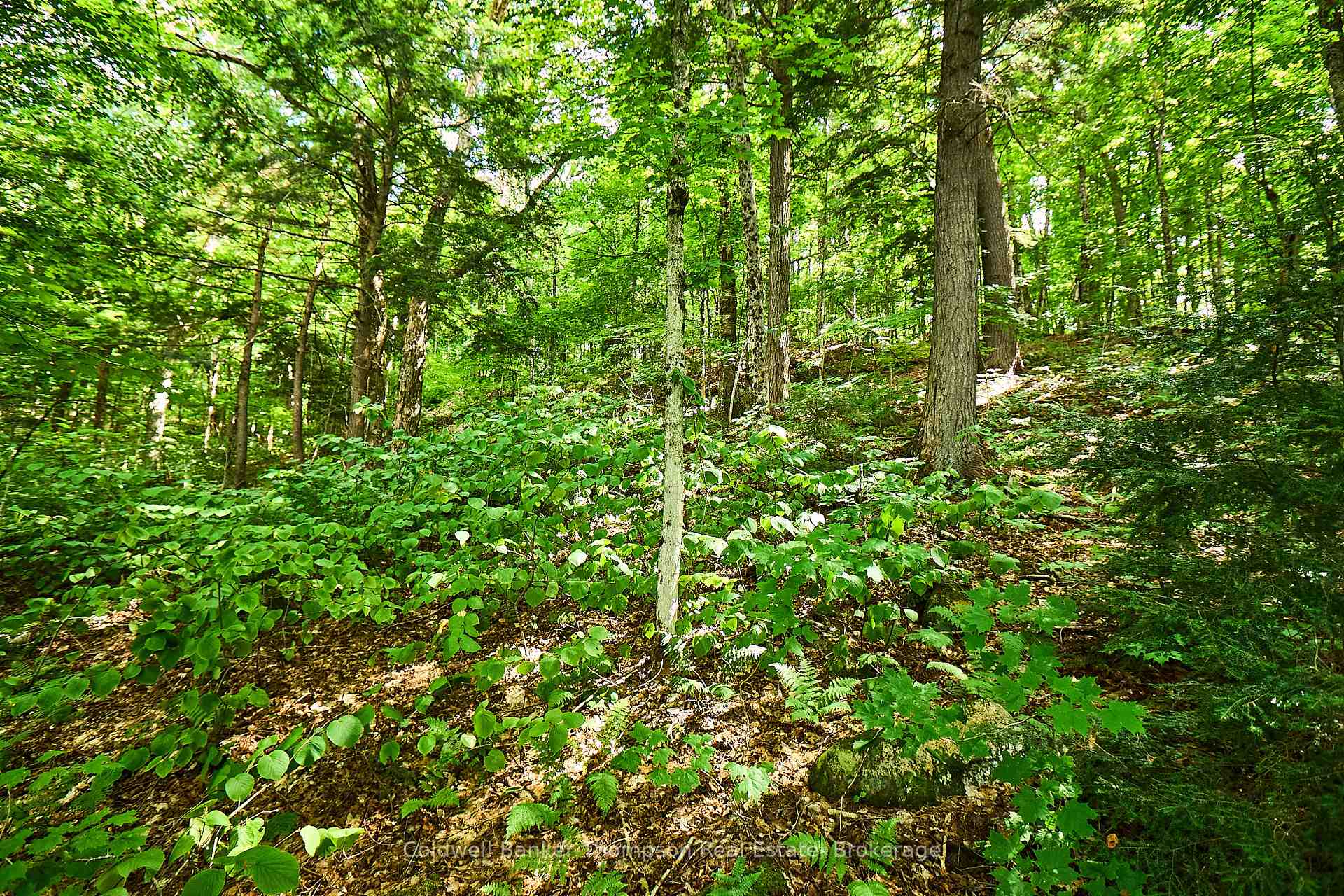 Photo 28 of So-Ho-Mish Road, Armour — HOMEH