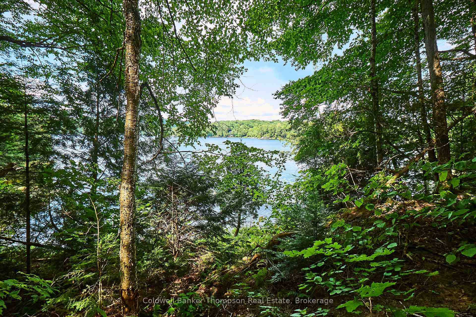 Photo 29 of So-Ho-Mish Road, Armour — HOMEH