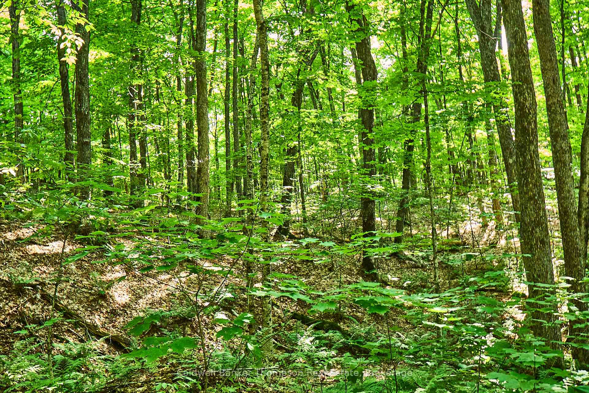 Photo 30 of So-Ho-Mish Road, Armour — HOMEH