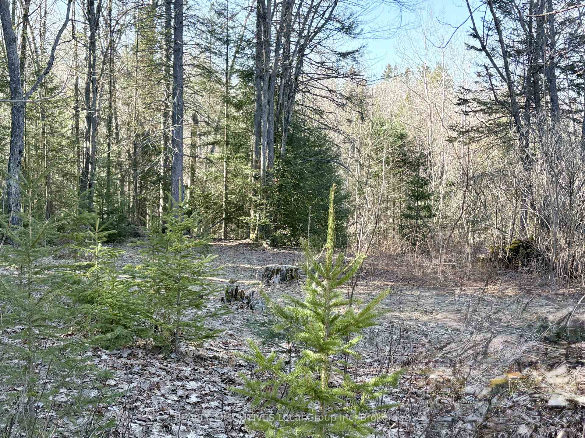 Photo 5 of 30 Peever Line, Powassan — HOMEH