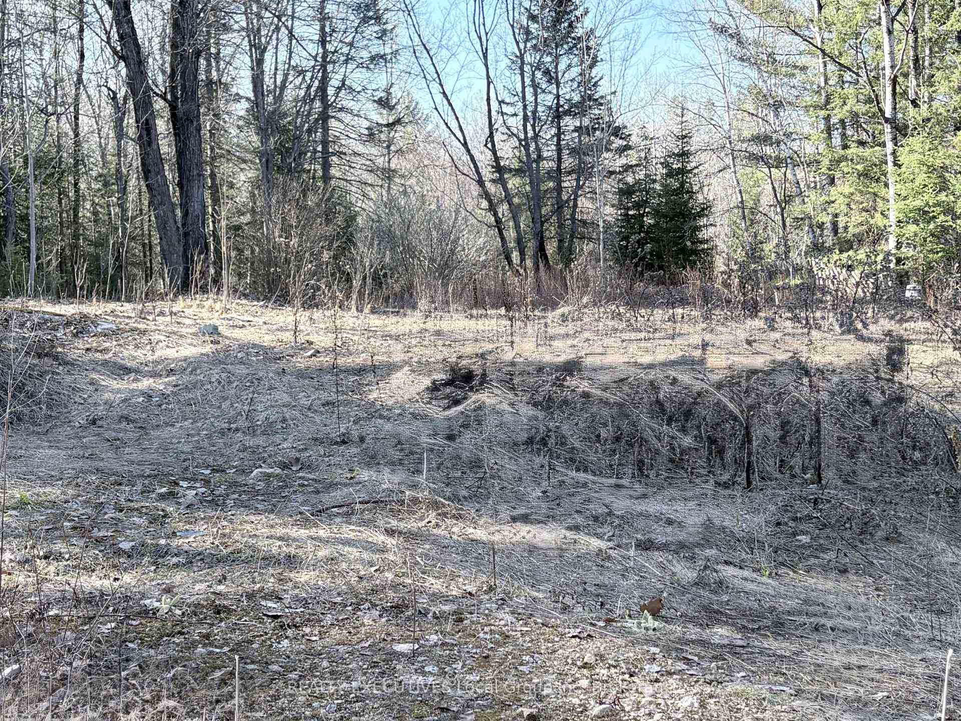 Photo 9 of 30 Peever Line, Powassan — HOMEH