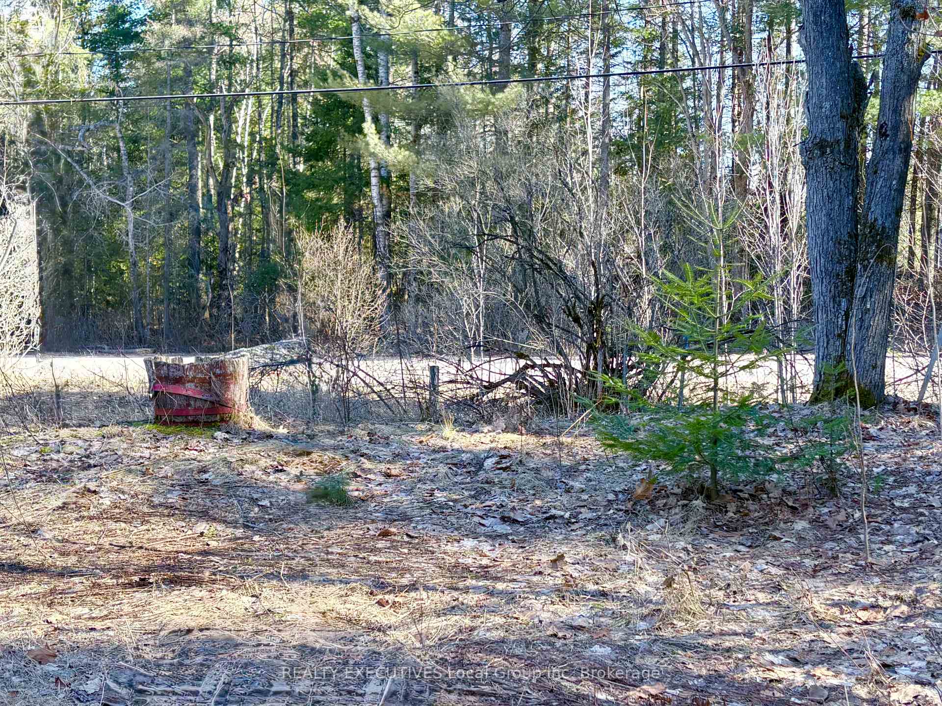 Photo 12 of 30 Peever Line, Powassan — HOMEH