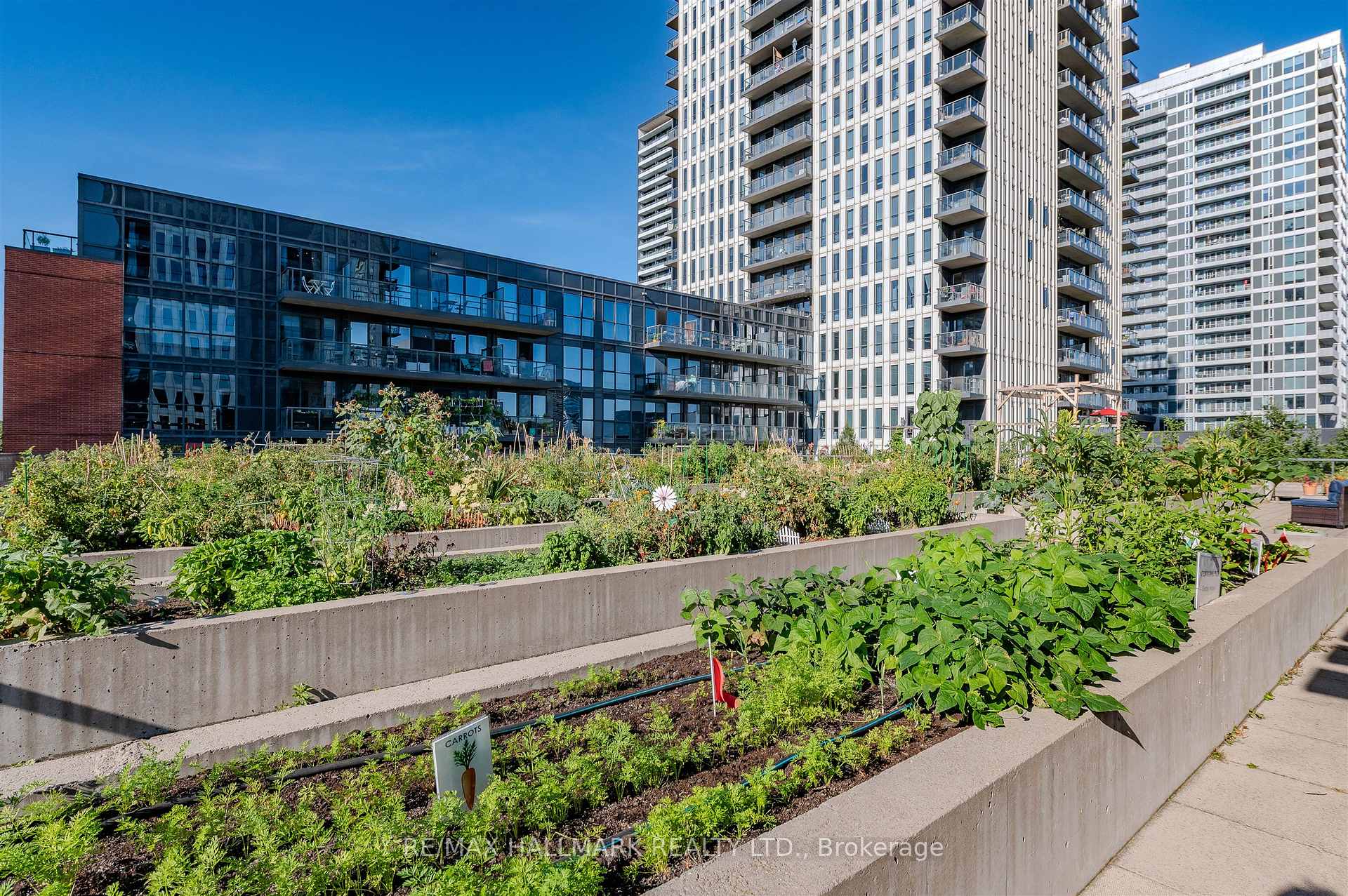 Photo 39 of 126 St David Street, Toronto, Regent Park — HOMEH
