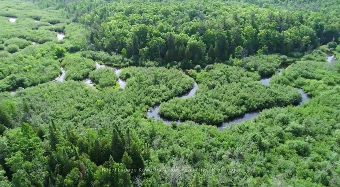 Photo 37 of 1752 Highway 35 S, Kawartha Lakes, Manvers — HOMEH