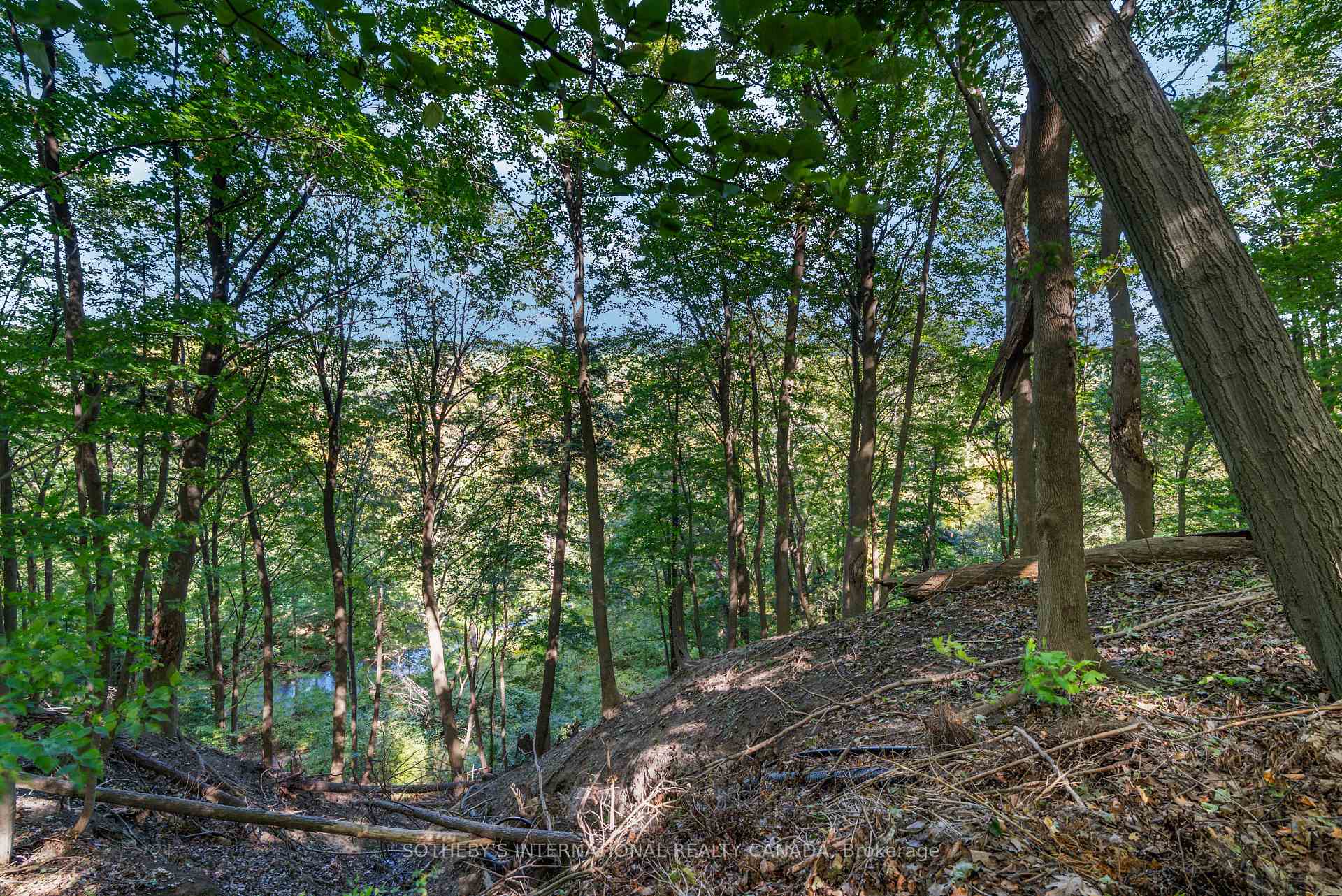 Photo 7 of 338 Riverview Drive, North York, Bridle Path-Sunnybrook-York Mills — HOMEH
