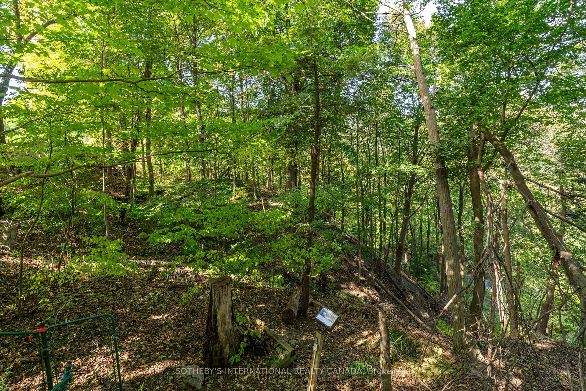 Photo 11 of 338 Riverview Drive, North York, Bridle Path-Sunnybrook-York Mills — HOMEH