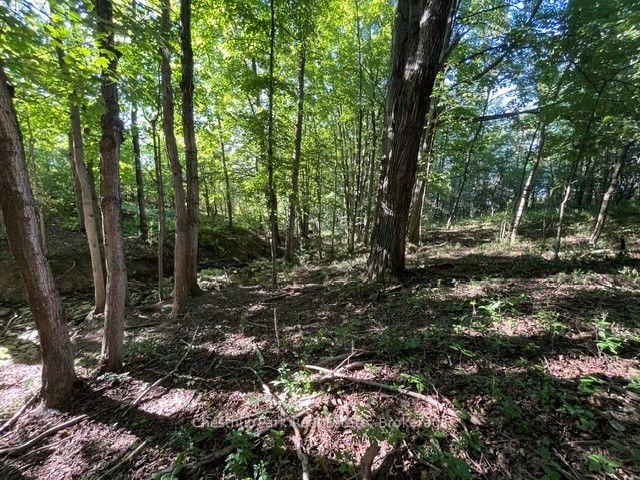 Photo 5 of PT LT 8 7th Line, Meaford — HOMEH