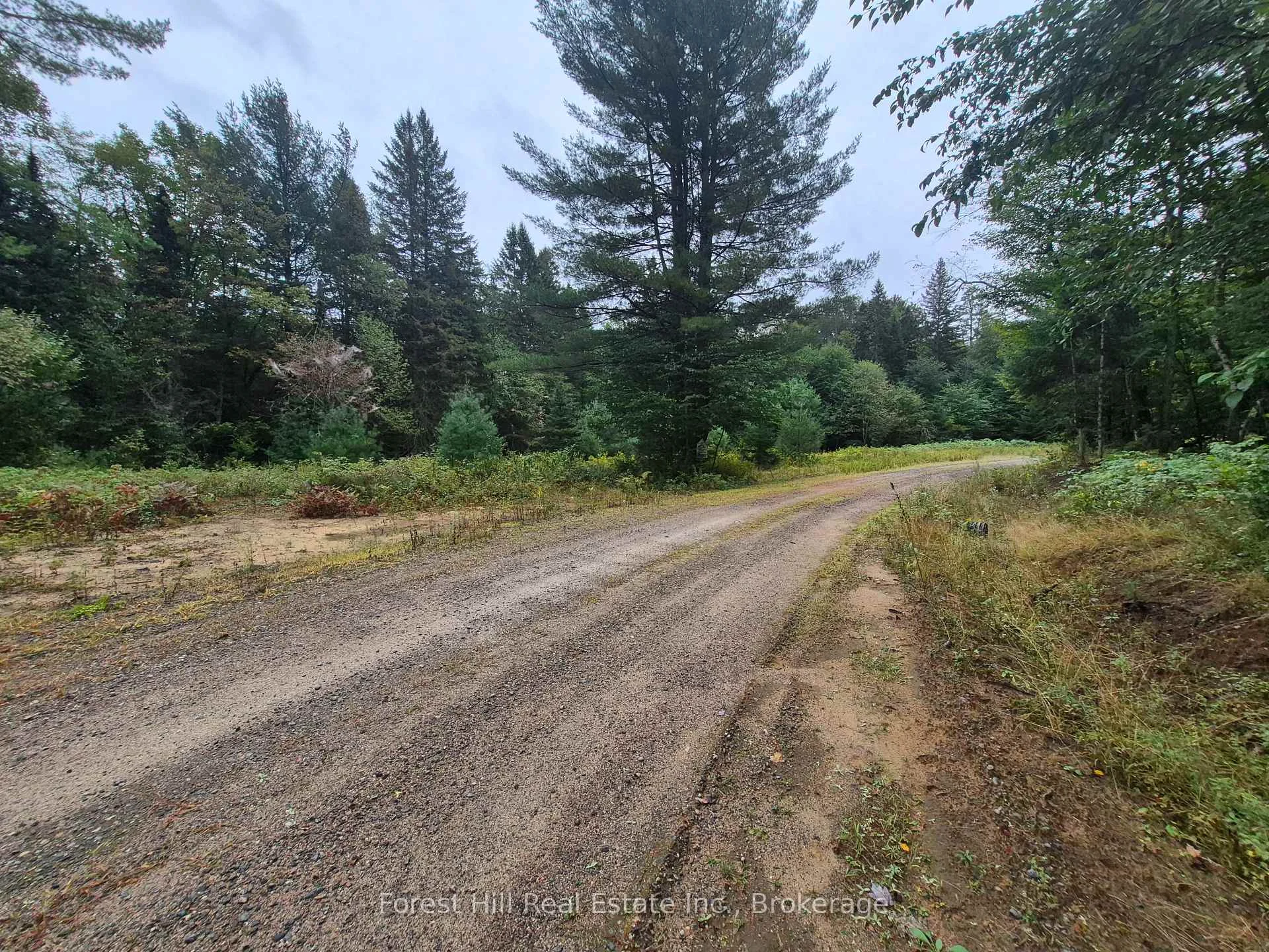 Photo of 335 Woodland Drive