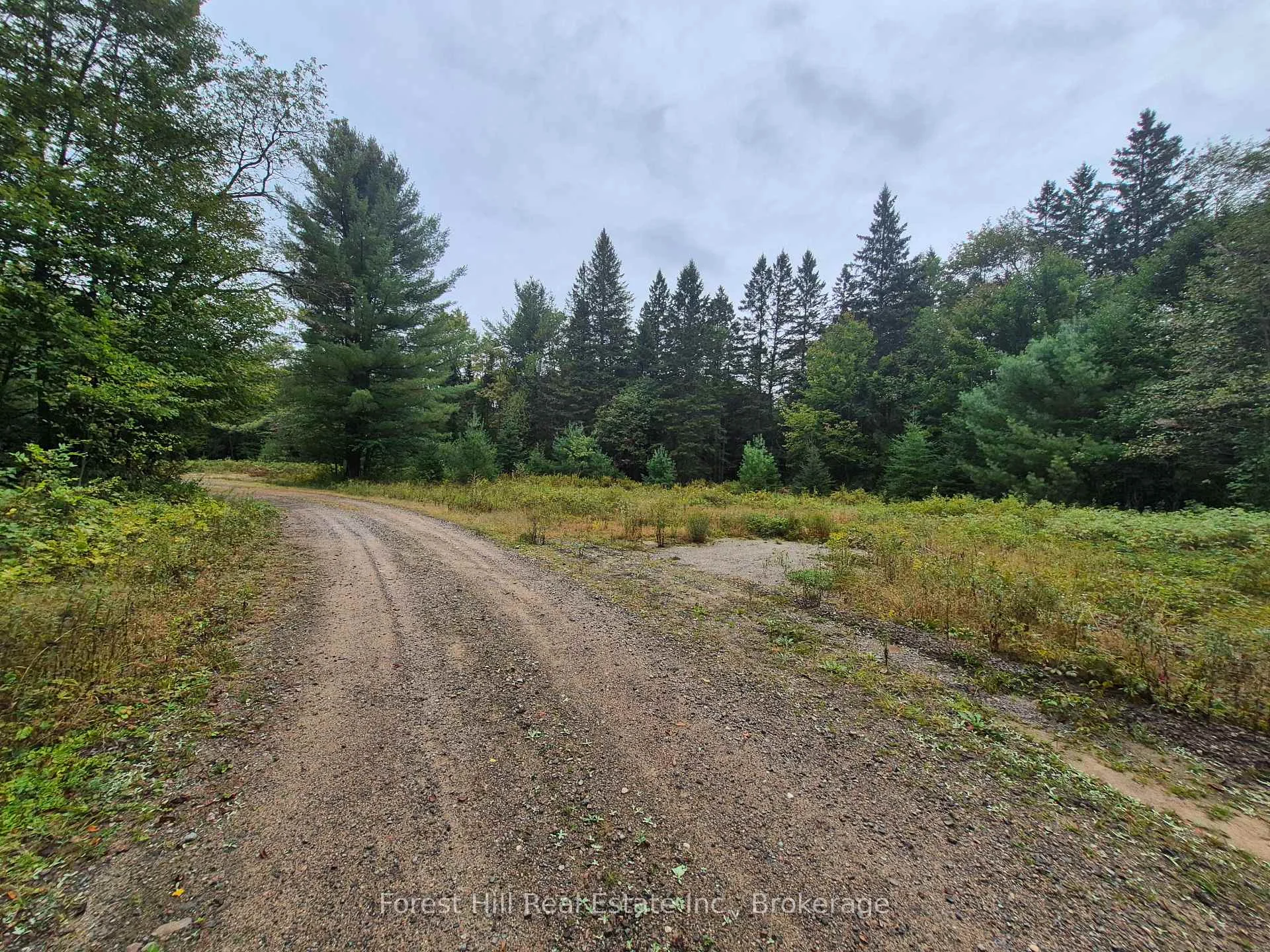Photo 3 of 335 Woodland Drive, McMurrich/Monteith, Monteith — HOMEH