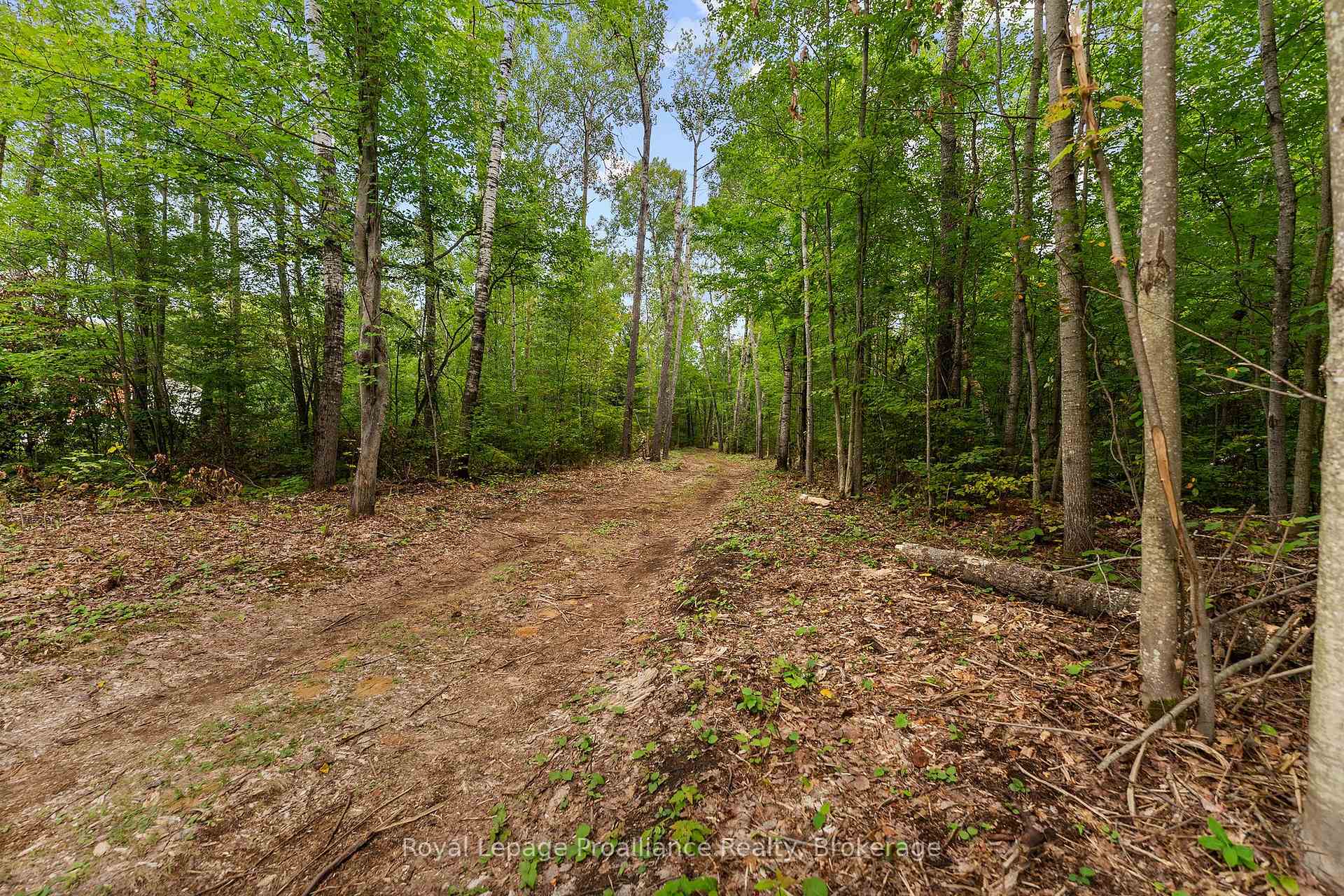 Photo 31 of 596 River Road, Hastings Highlands, Bangor Ward — HOMEH
