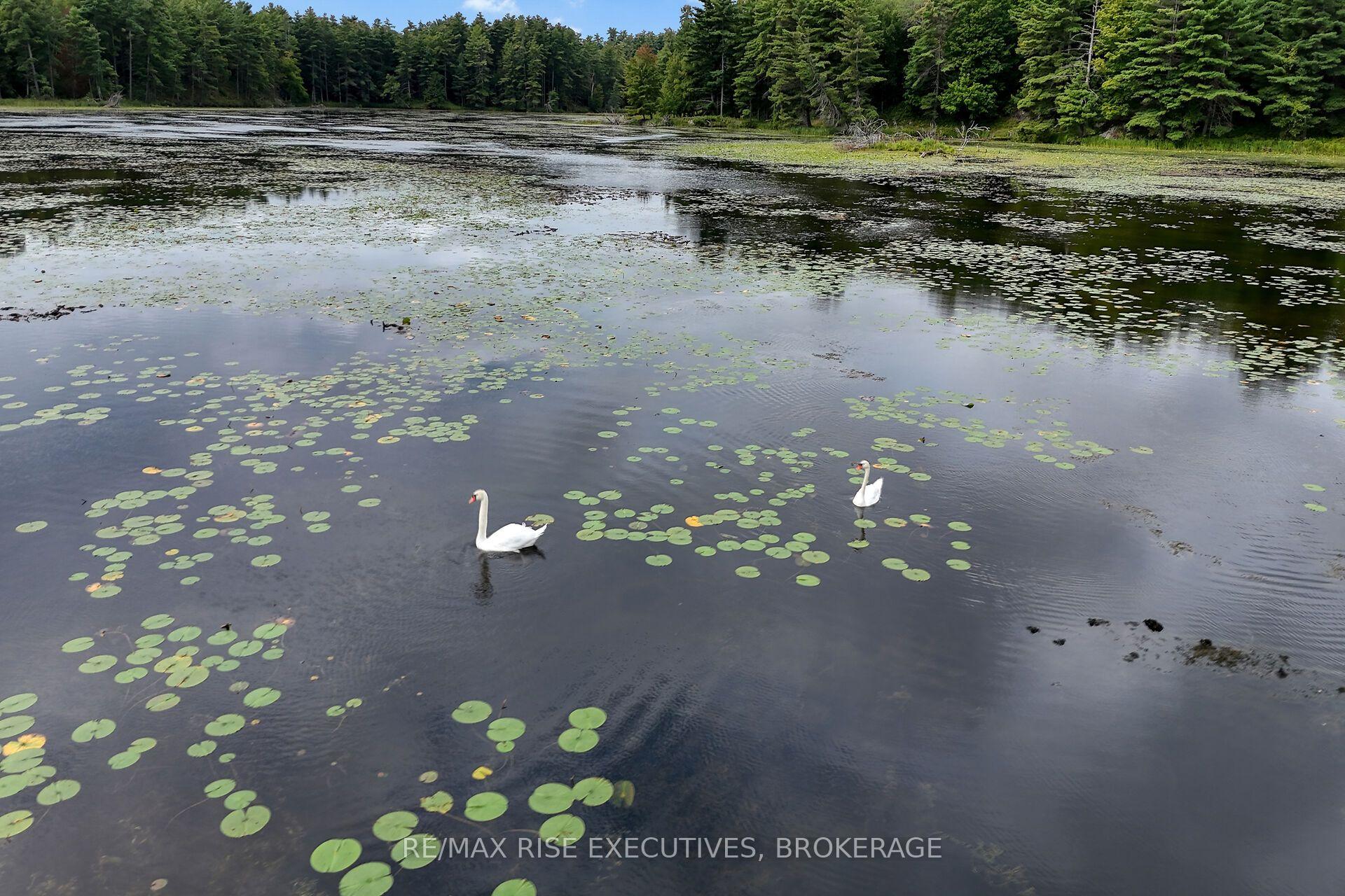 Photo 46 of 202 Deans Island Road, Rideau Lakes, Rideau Lakes (South Crosby) Twp — HOMEH