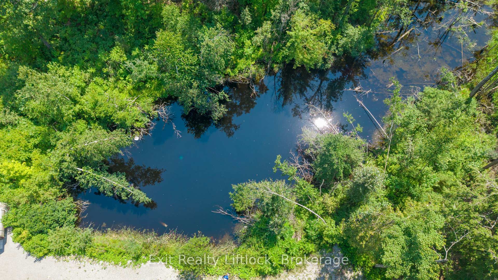 Photo 6 of 4006 County Rd 36, Trent Lakes — HOMEH