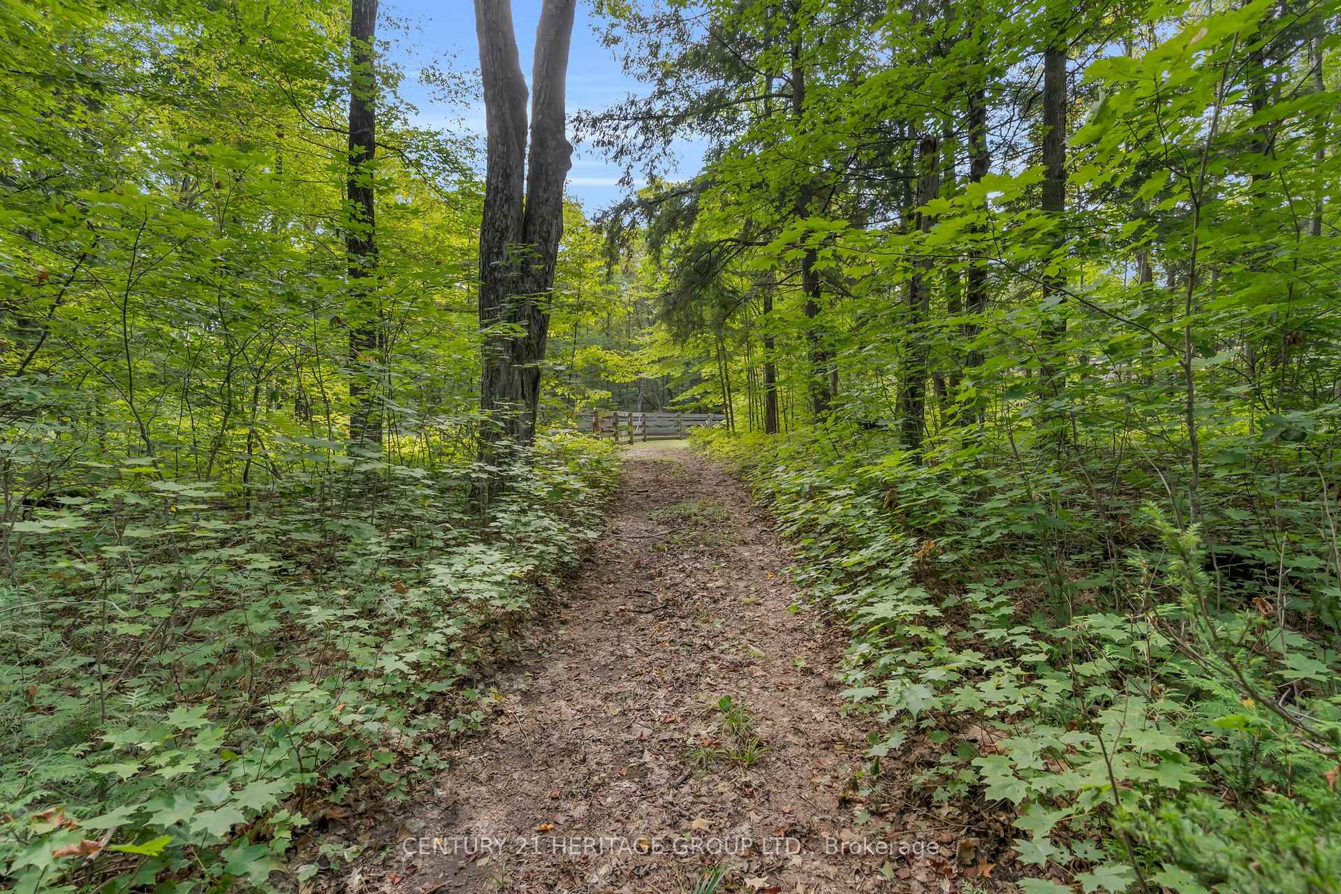 Photo 40 of 116 Mill Pond Side Road, Oro-Medonte, Rural Oro-Medonte — HOMEH