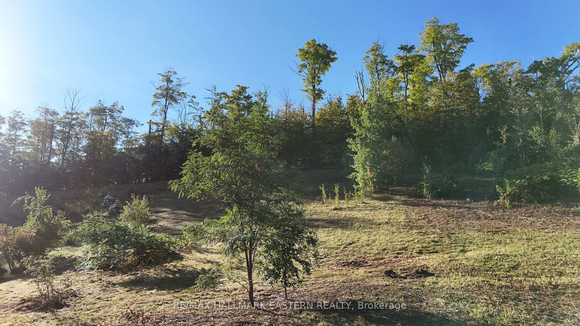 Photo 15 of 406 Country Lane, Selwyn — HOMEH