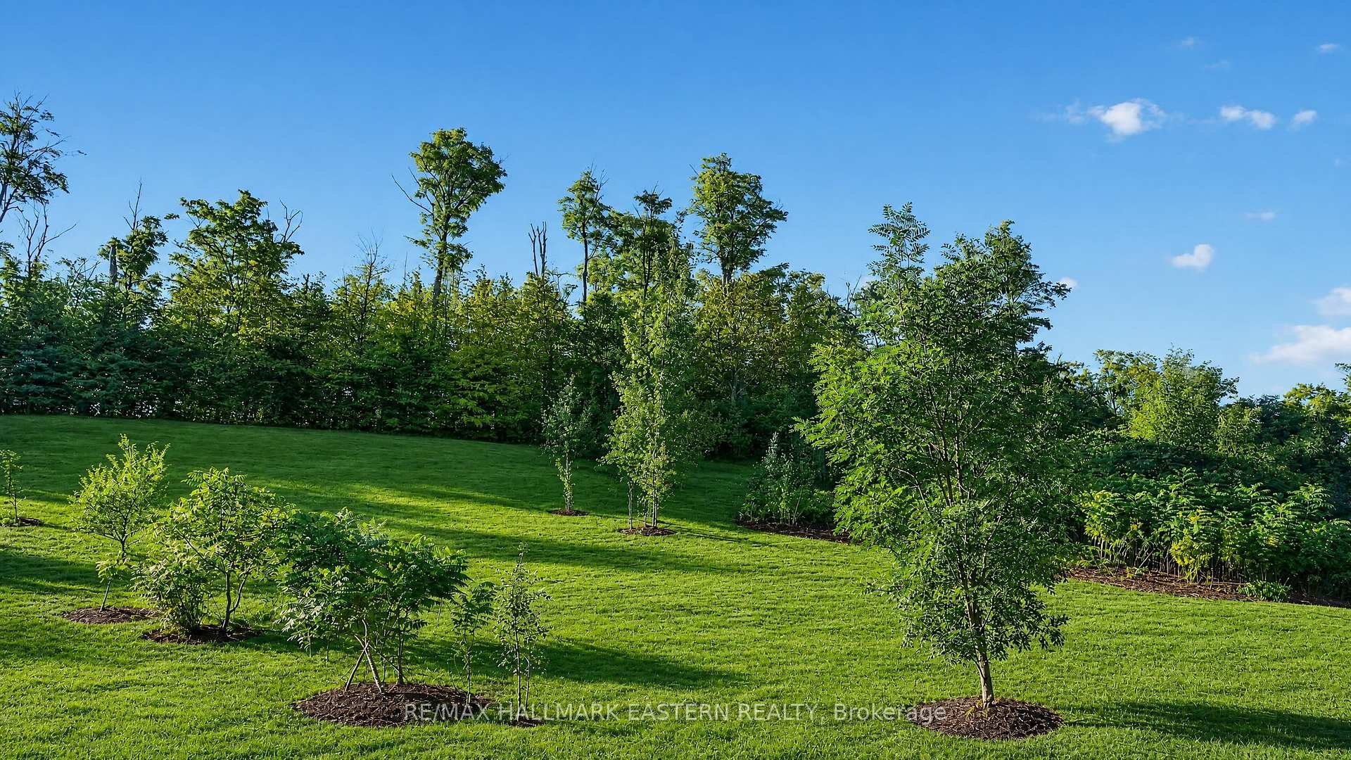 Photo 17 of 406 Country Lane, Selwyn — HOMEH
