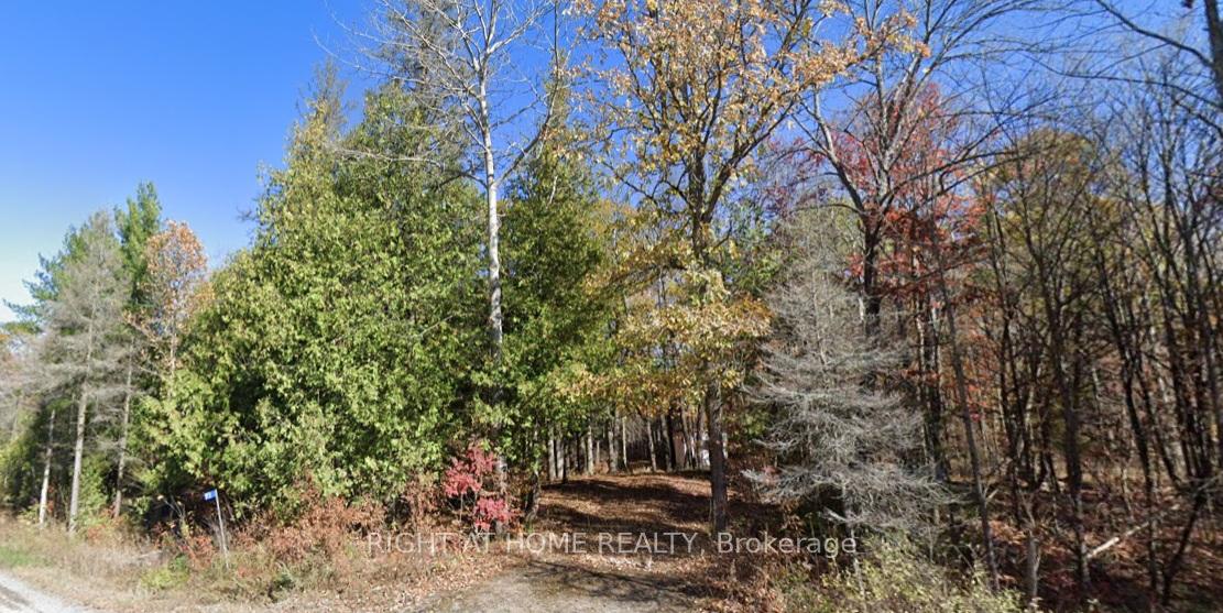 Photo of 93 McCleary Road