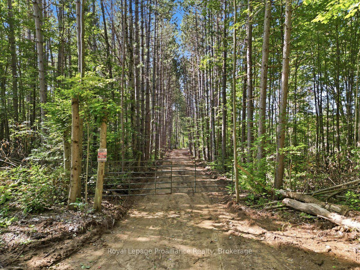 Photo of 292 Hartin Road