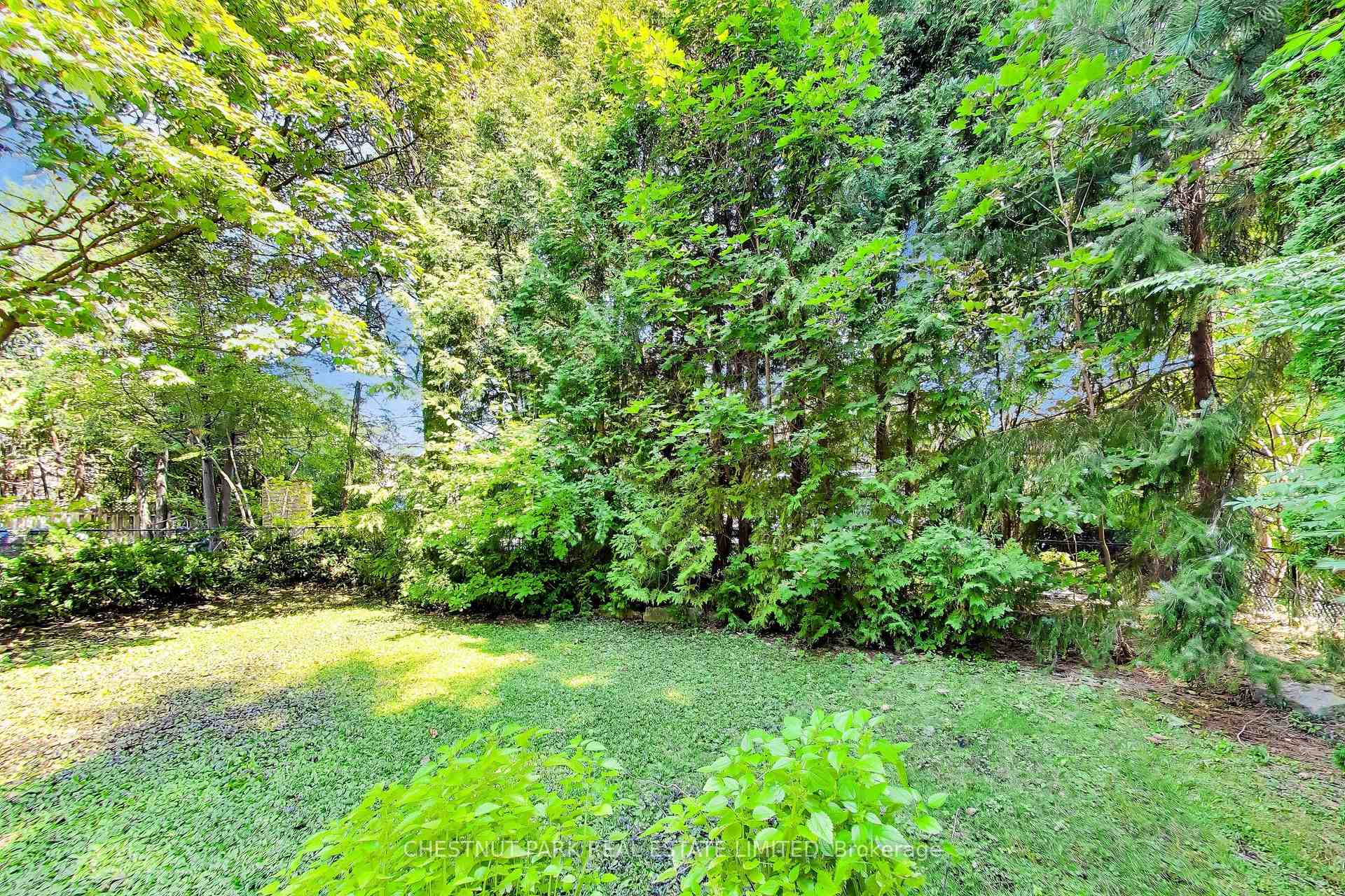 Photo 35 of 99 Bideford Avenue, North York, Lansing-Westgate — HOMEH