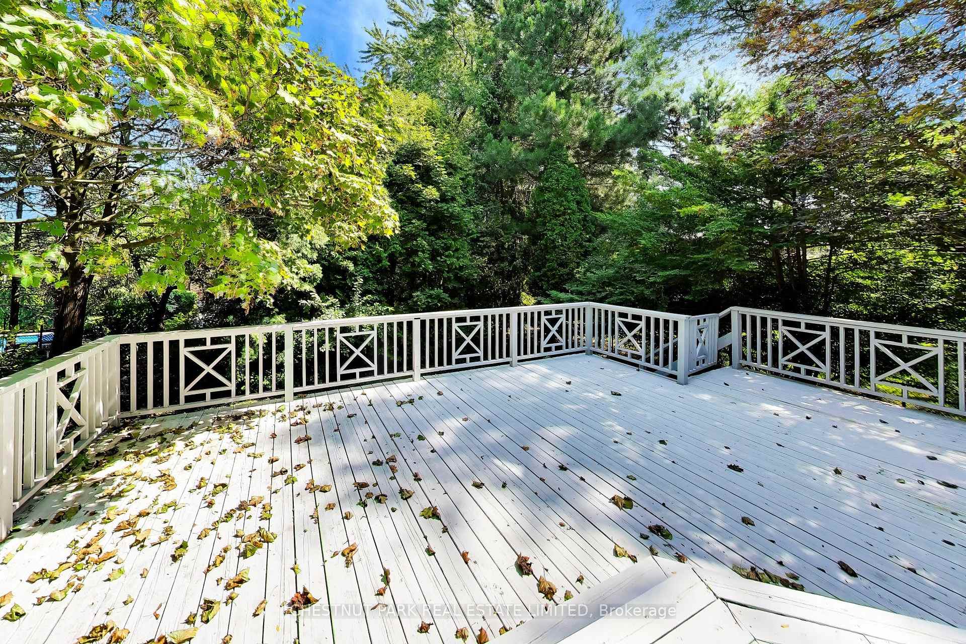 Photo 38 of 99 Bideford Avenue, North York, Lansing-Westgate — HOMEH
